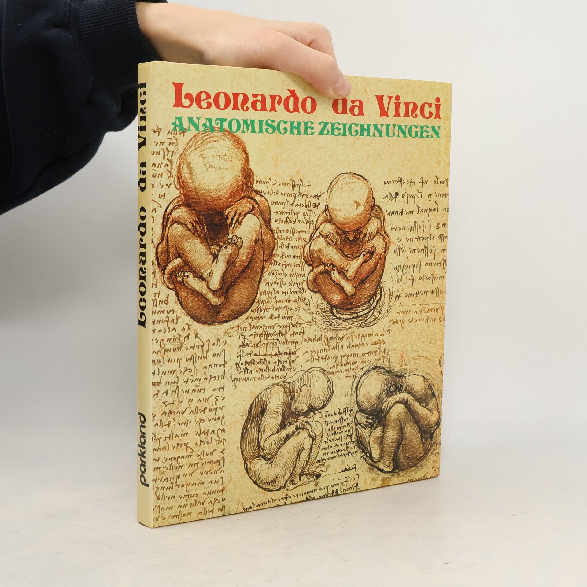 Leonardo da Vinci, anatomische Zeichnungen
