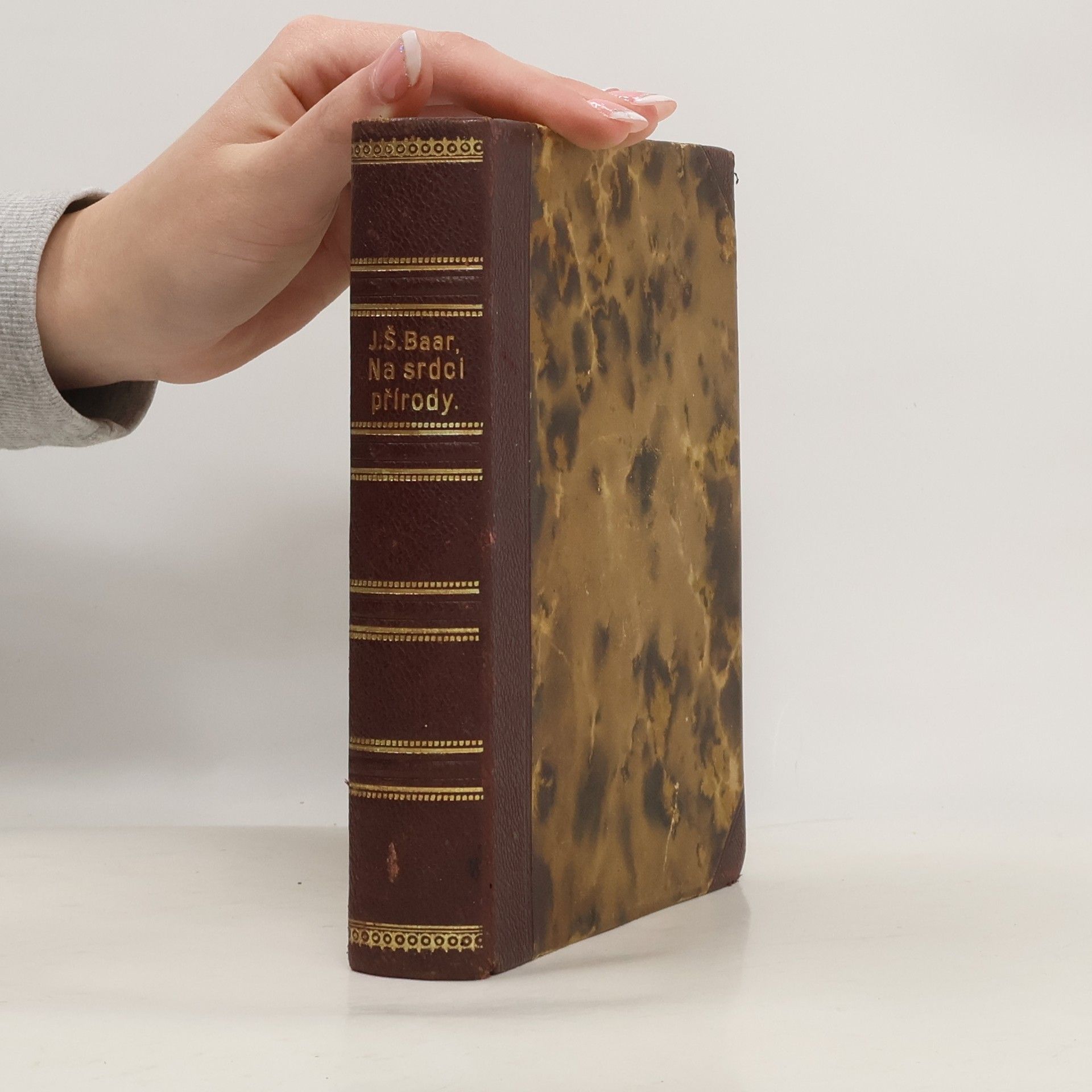 Jindřich Šimon Baar Na srdci přírody. Kniha o stromech a ptácích