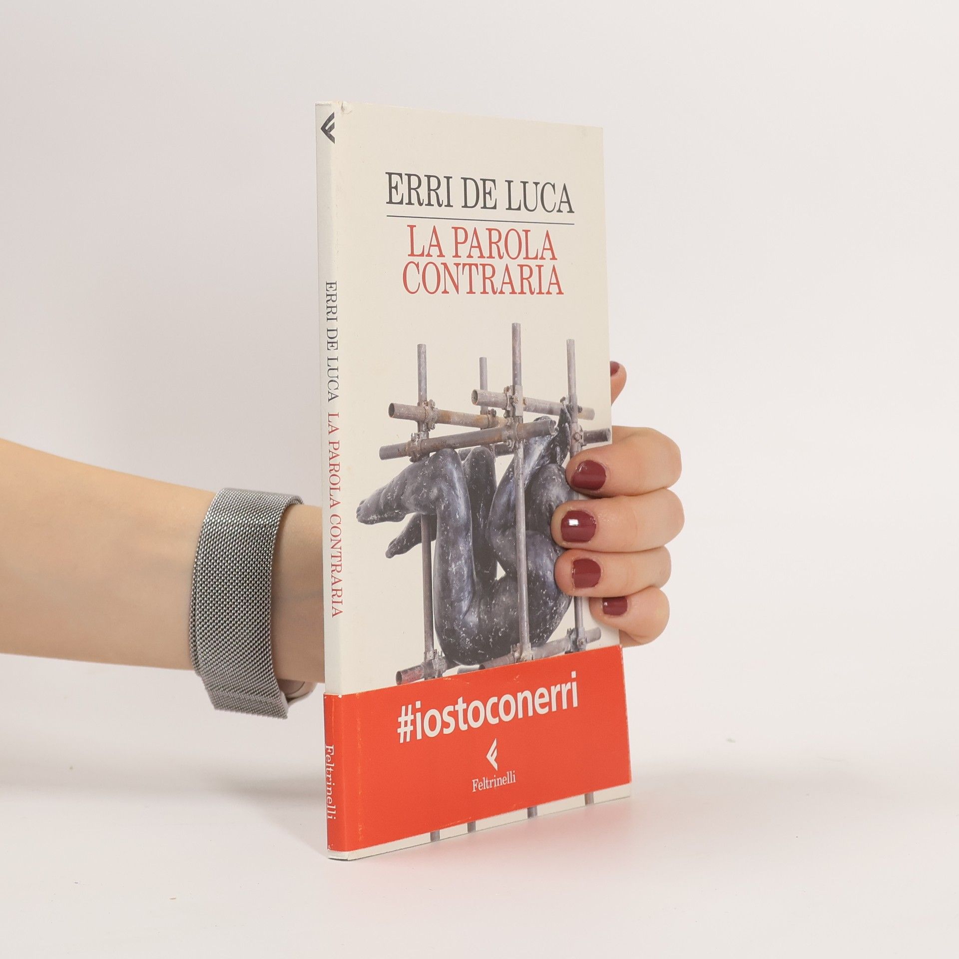 Erri De Luca La parola contraria