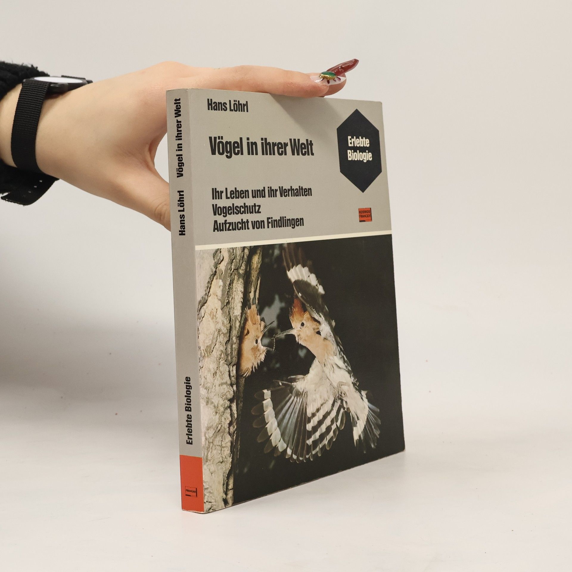 Hans Löhrl Vögel in ihrer Welt