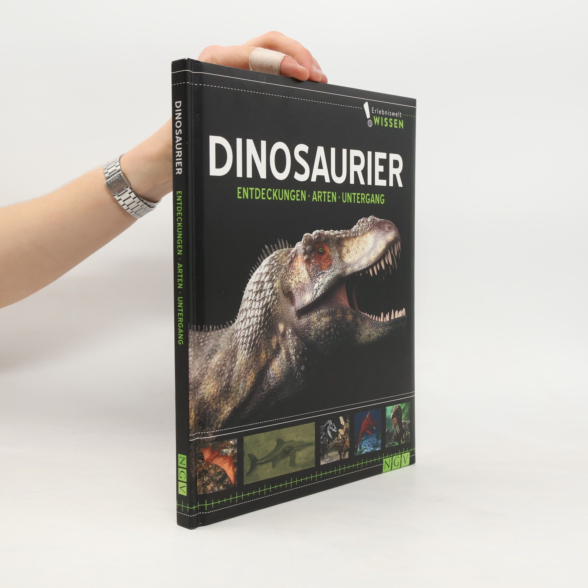 Autorenkollektiv Dinosaurier
