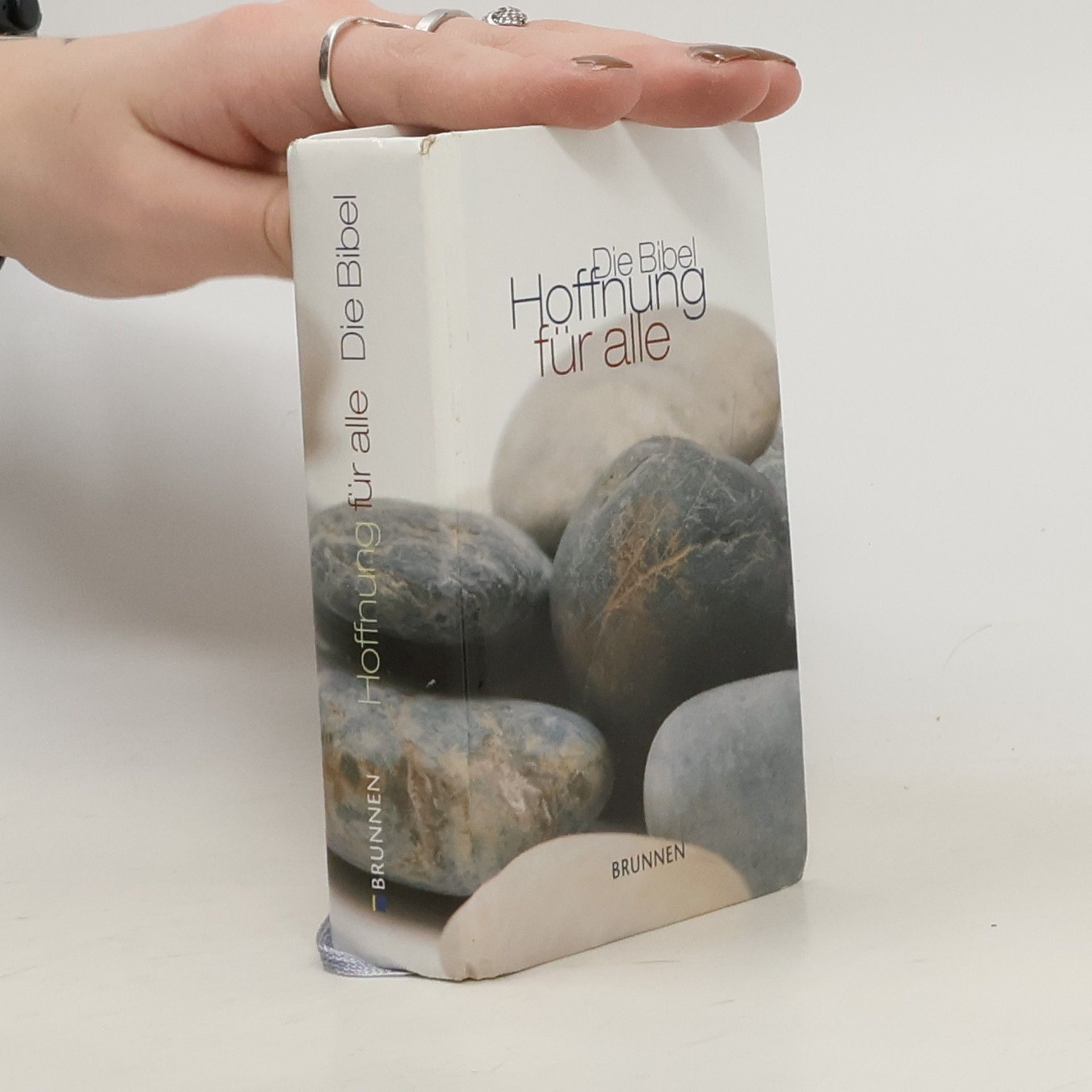 AA.VV. Die Bibel. Hoffnung für alle. Senfkorn, Stone Edition