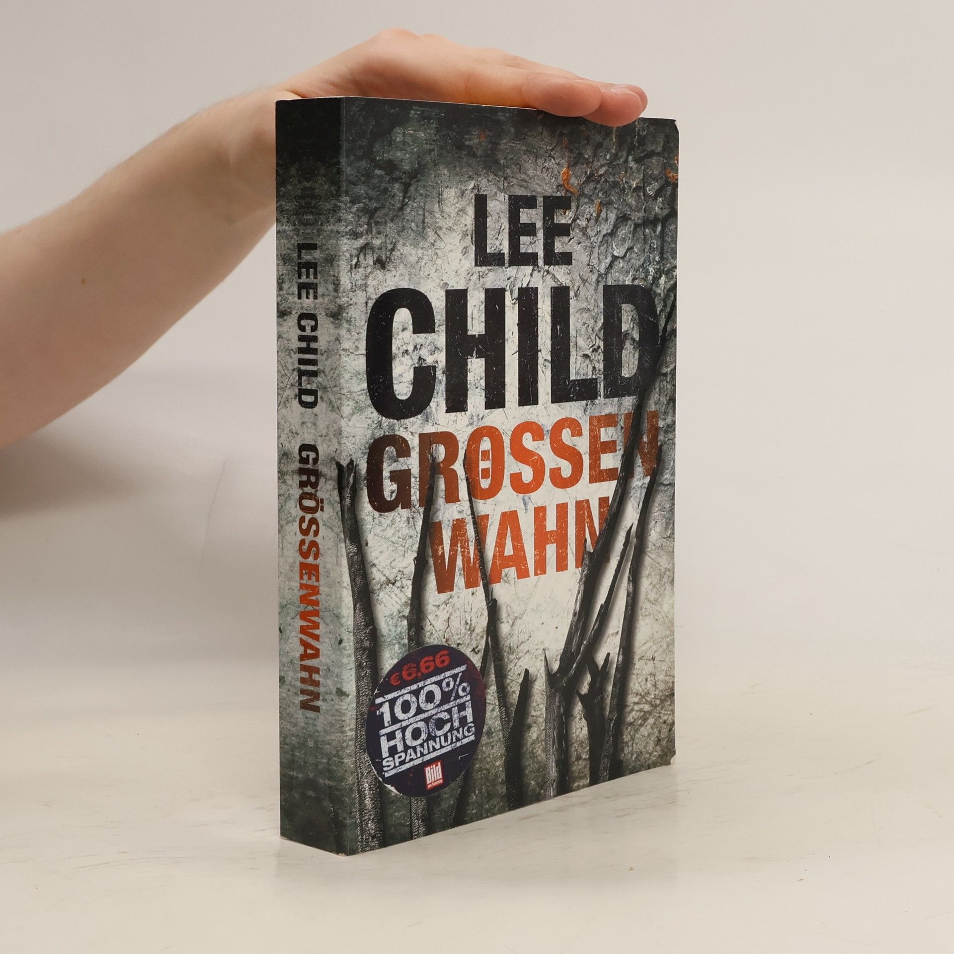 Lee Child Grössenwahn