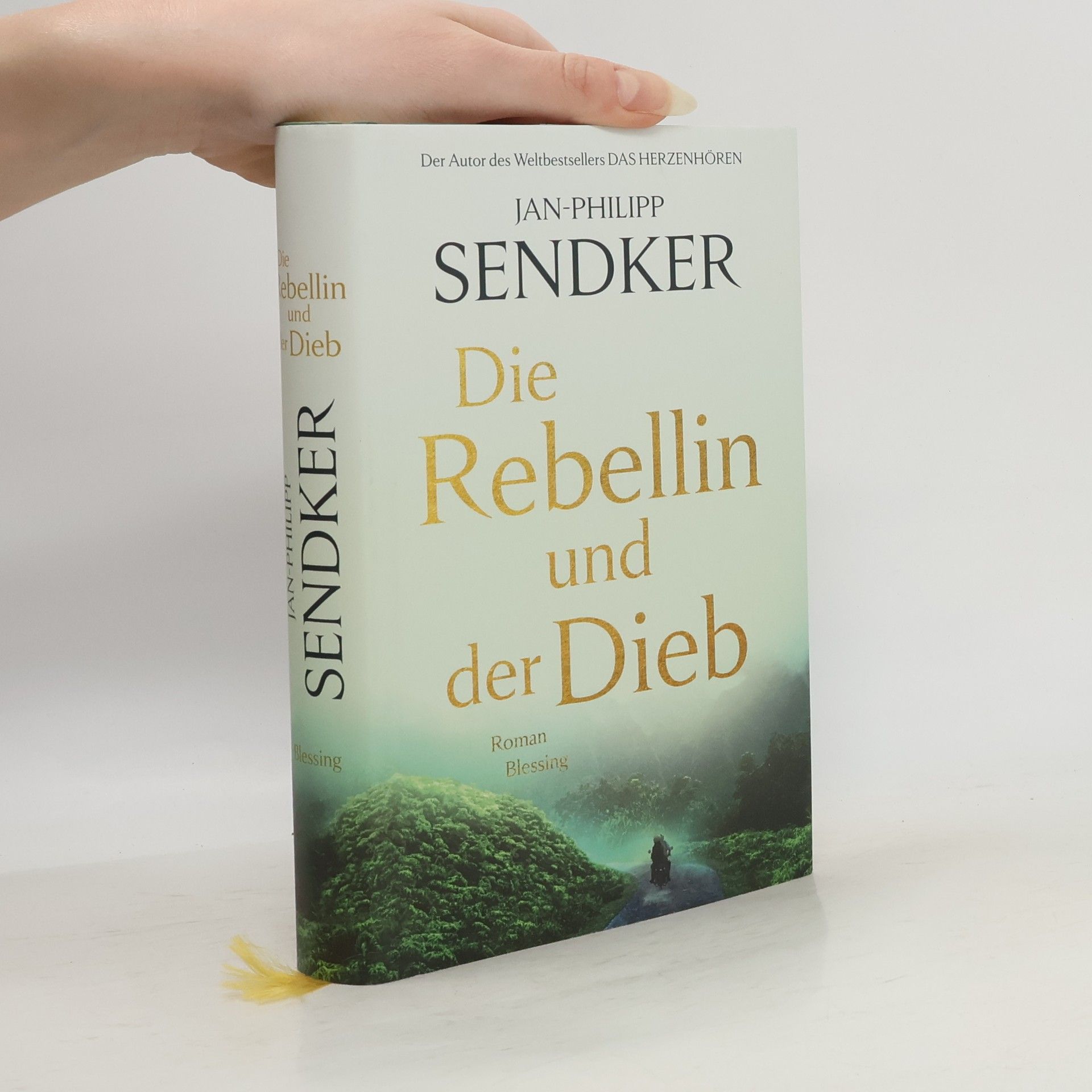 Jan-Philipp Sendker Die Rebellin und der Dieb