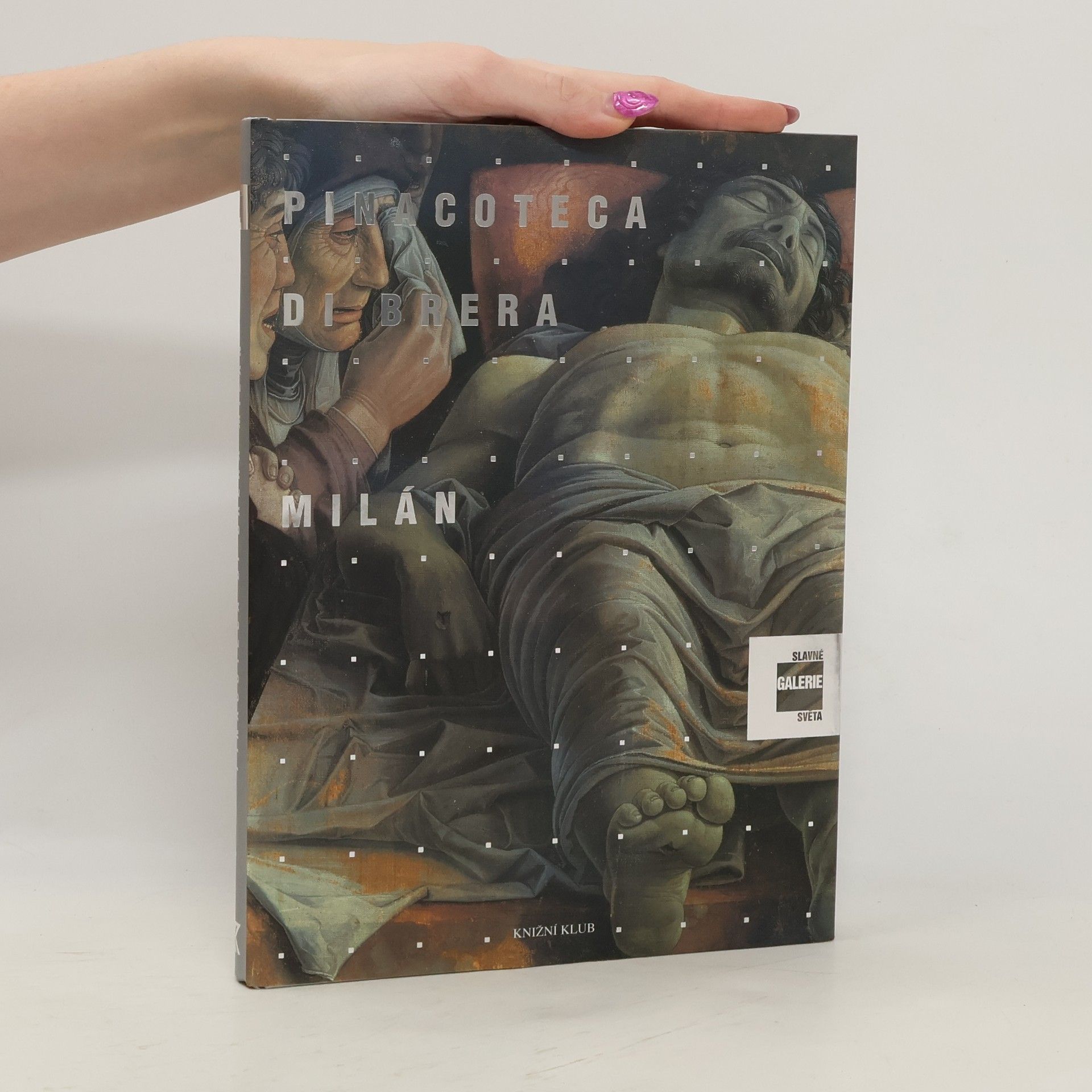 Stefano Zuffi Slavné galerie světa. Pinacoteca di Brera - Milán