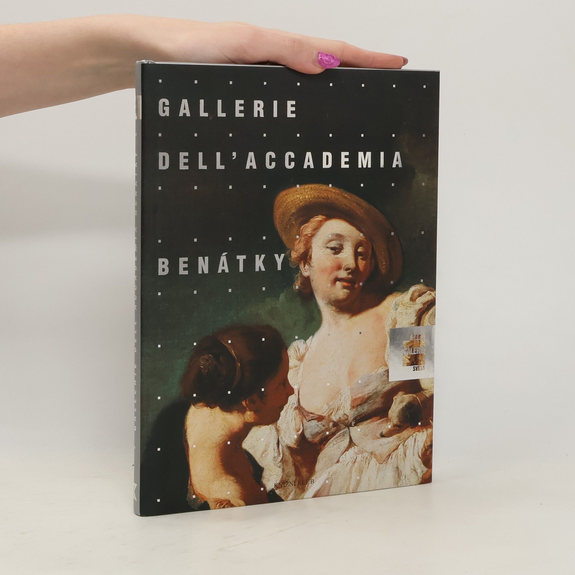 Lucia Impelluso Gallerie dell'Accademia Benátky