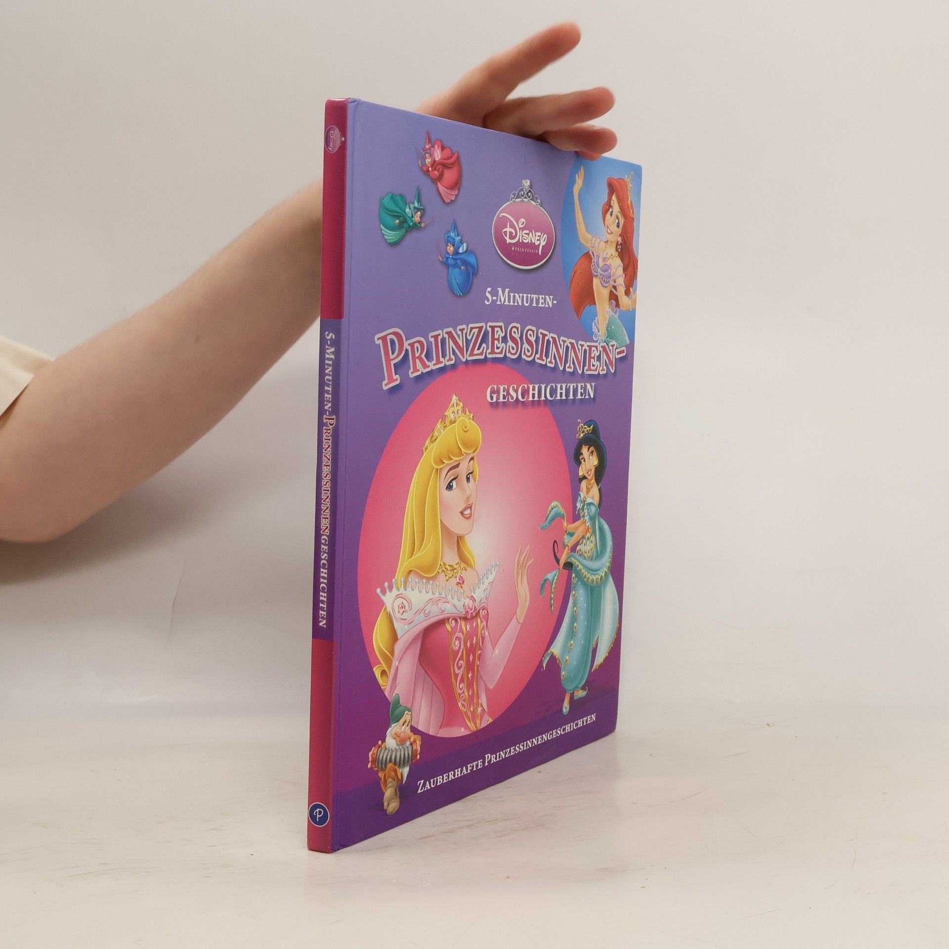 Autorenkollektiv Prinzessinnen-Geschichten 2