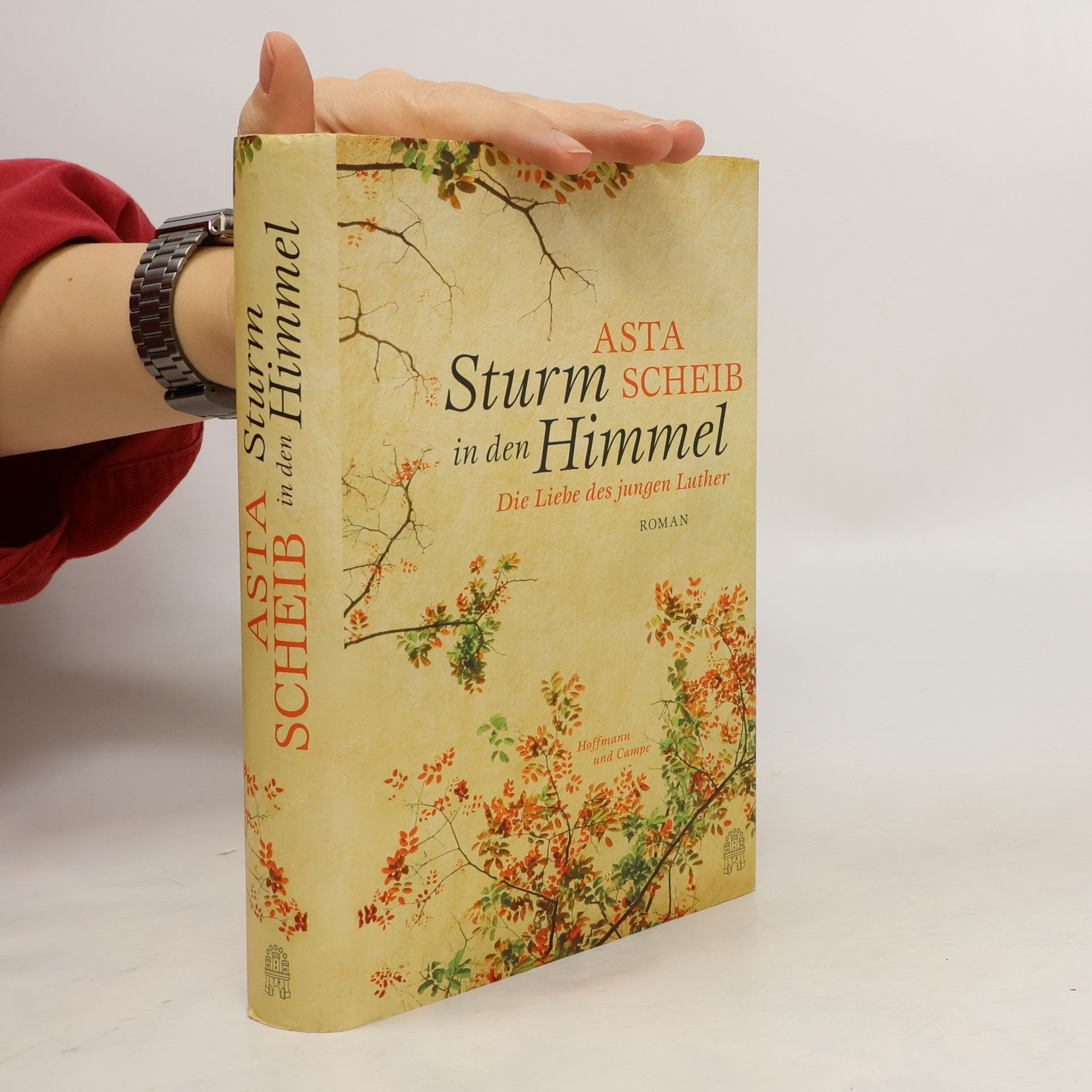 Asta Scheib Sturm in den Himmel