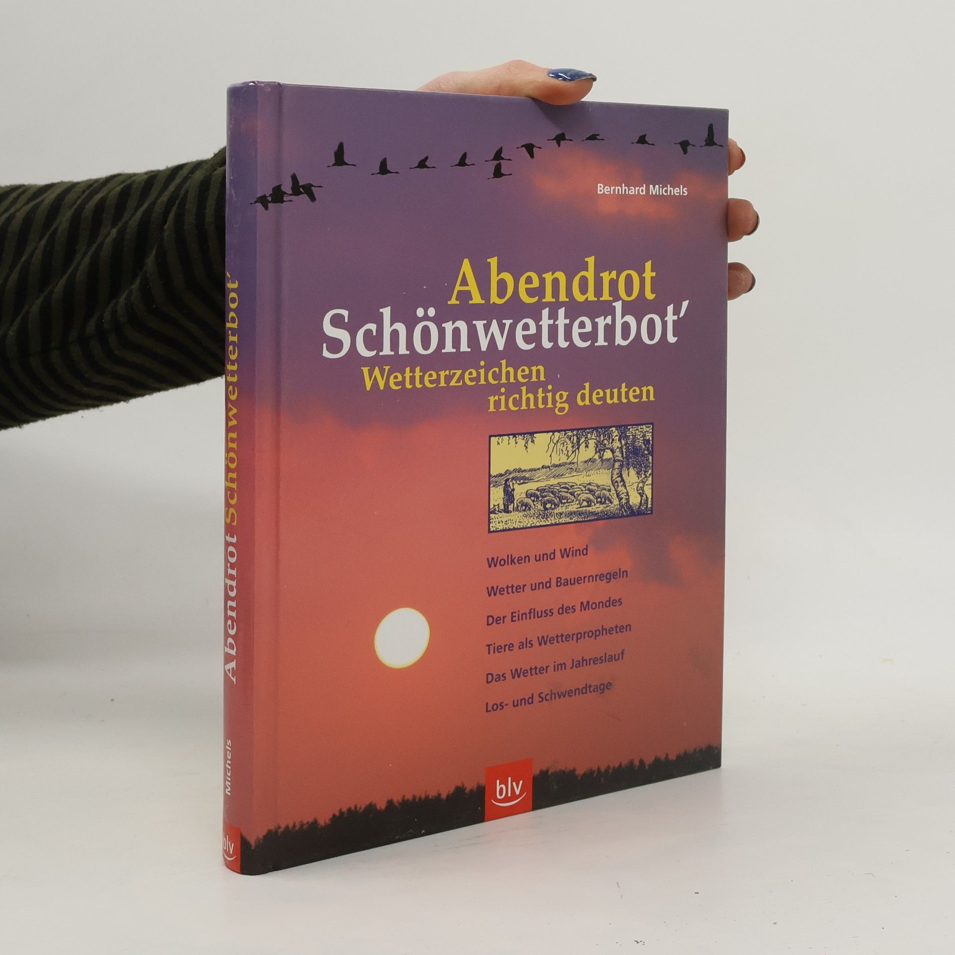 Bernhard Michels Abendrot Schönwetterbot'