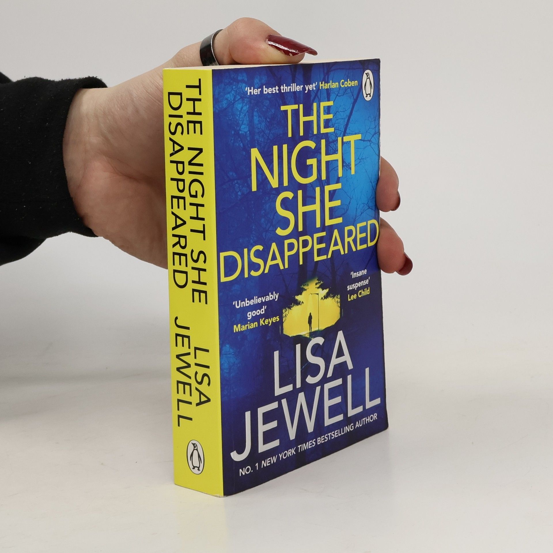 Lisa Jewell The Night She Disappeared