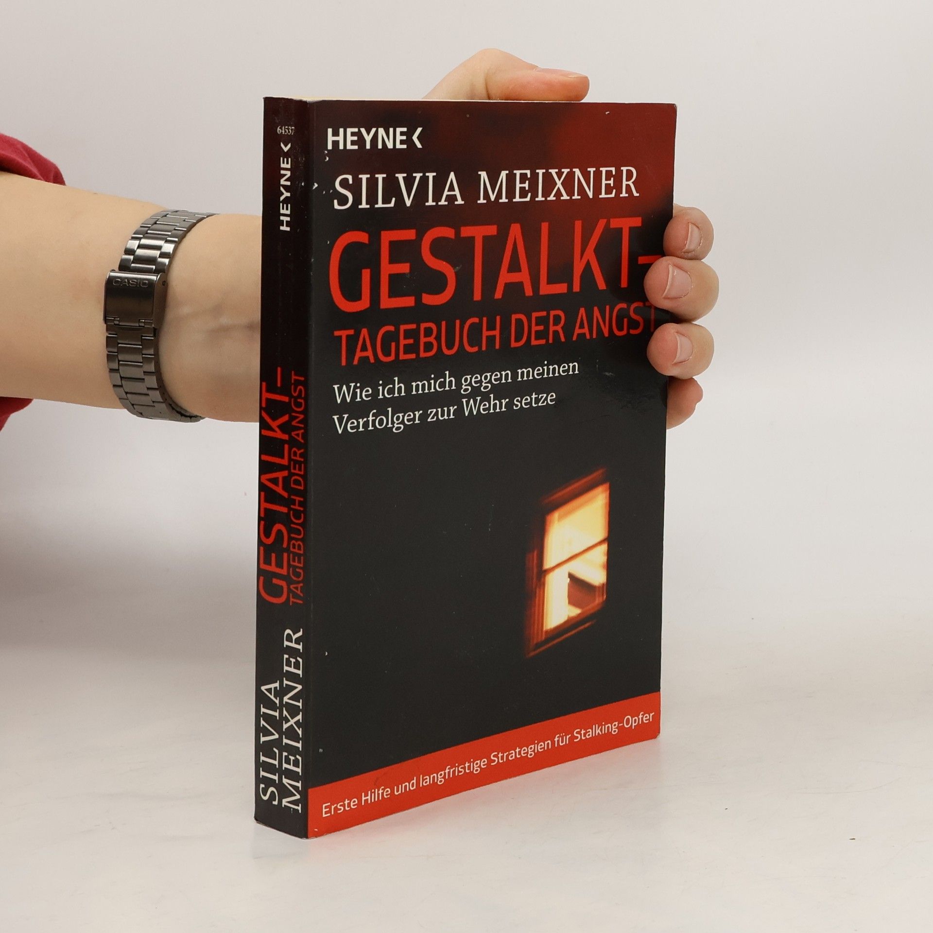 Silvia Meixner Gestalkt - Tagebuch der Angst