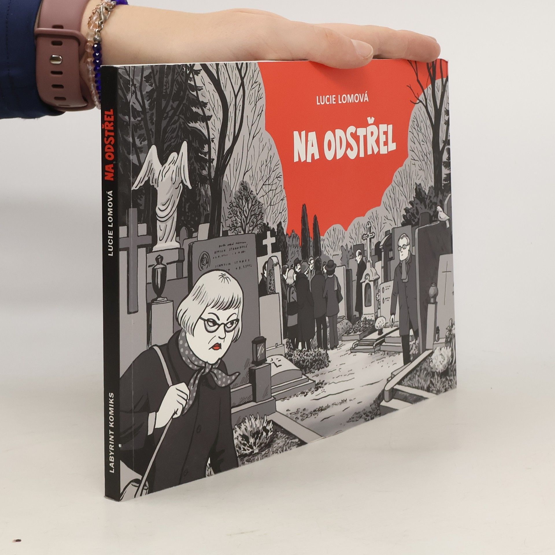 Lucie Lomová Na odstřel: Komiksová detektivka