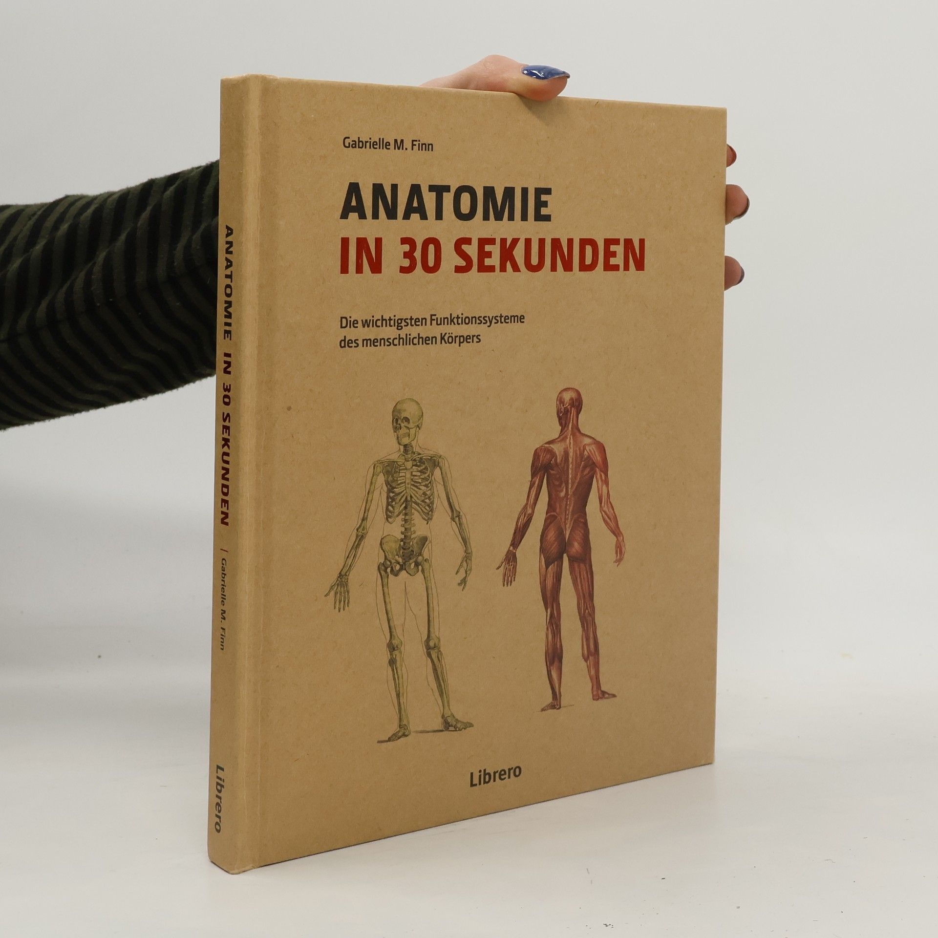 Gabrielle M. Finn Anatomie in 30 Sekunden
