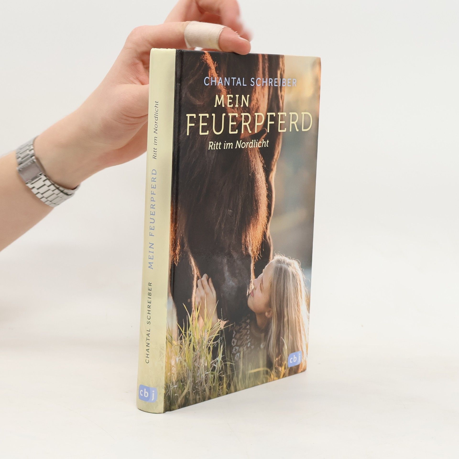 Chantal Schreiber Mein Feuerpferd - Ritt im Nordlicht
