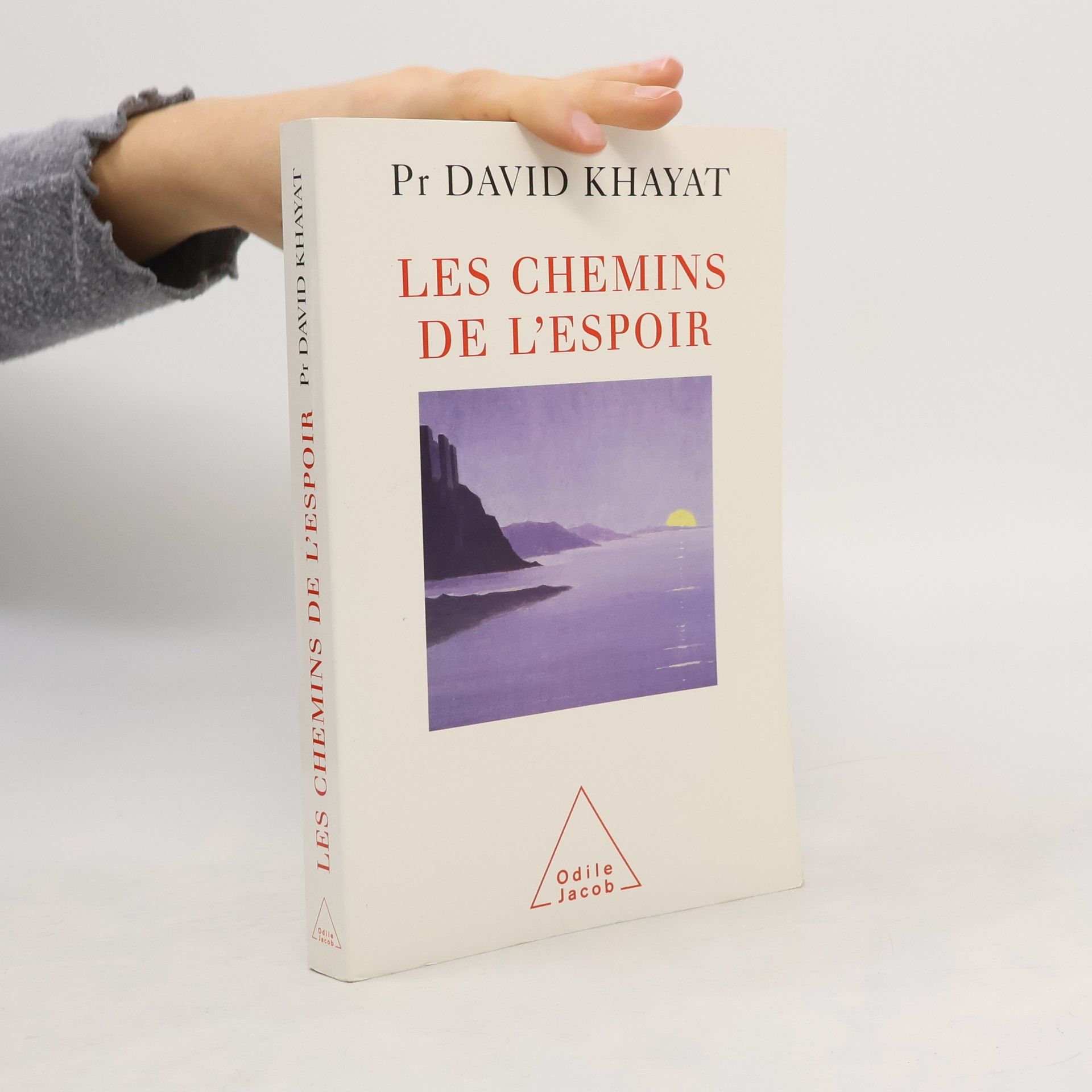 David Khayat Les chemins de l'espoir