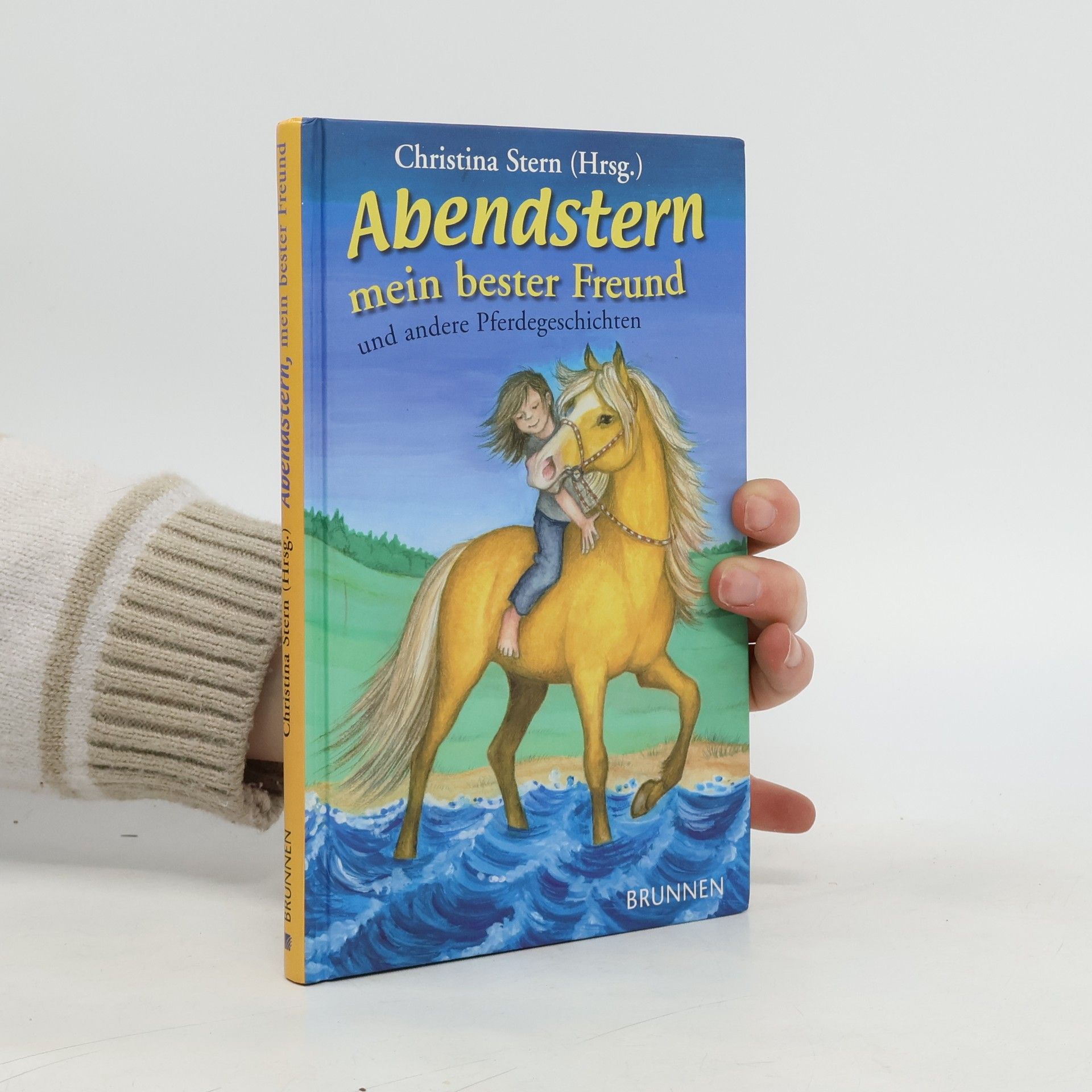 Christina Stern Abendstern, mein bester Freund, und andere Pferdegeschichten
