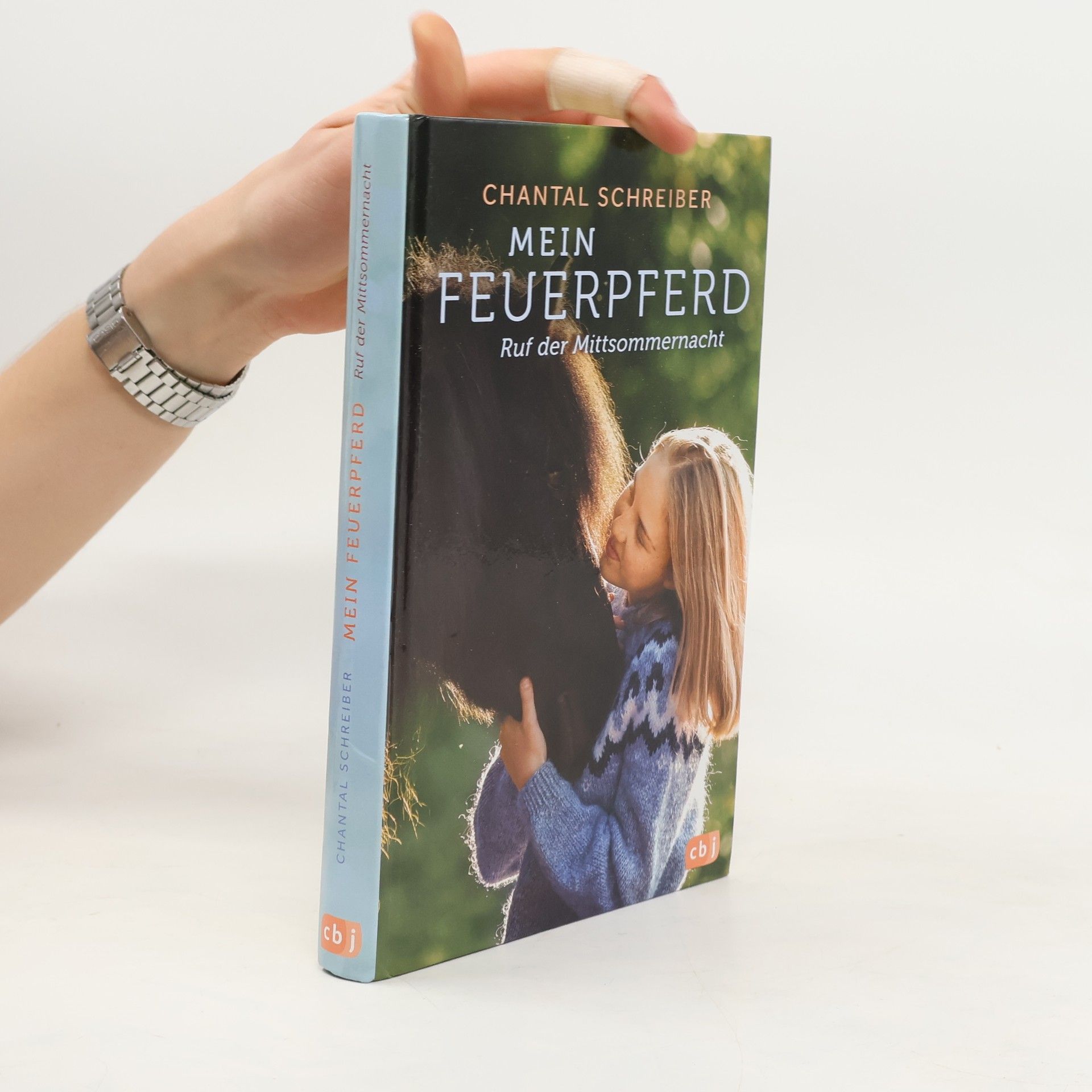 Mein Feuerpferd - Im Bann der Mitternachtssonne