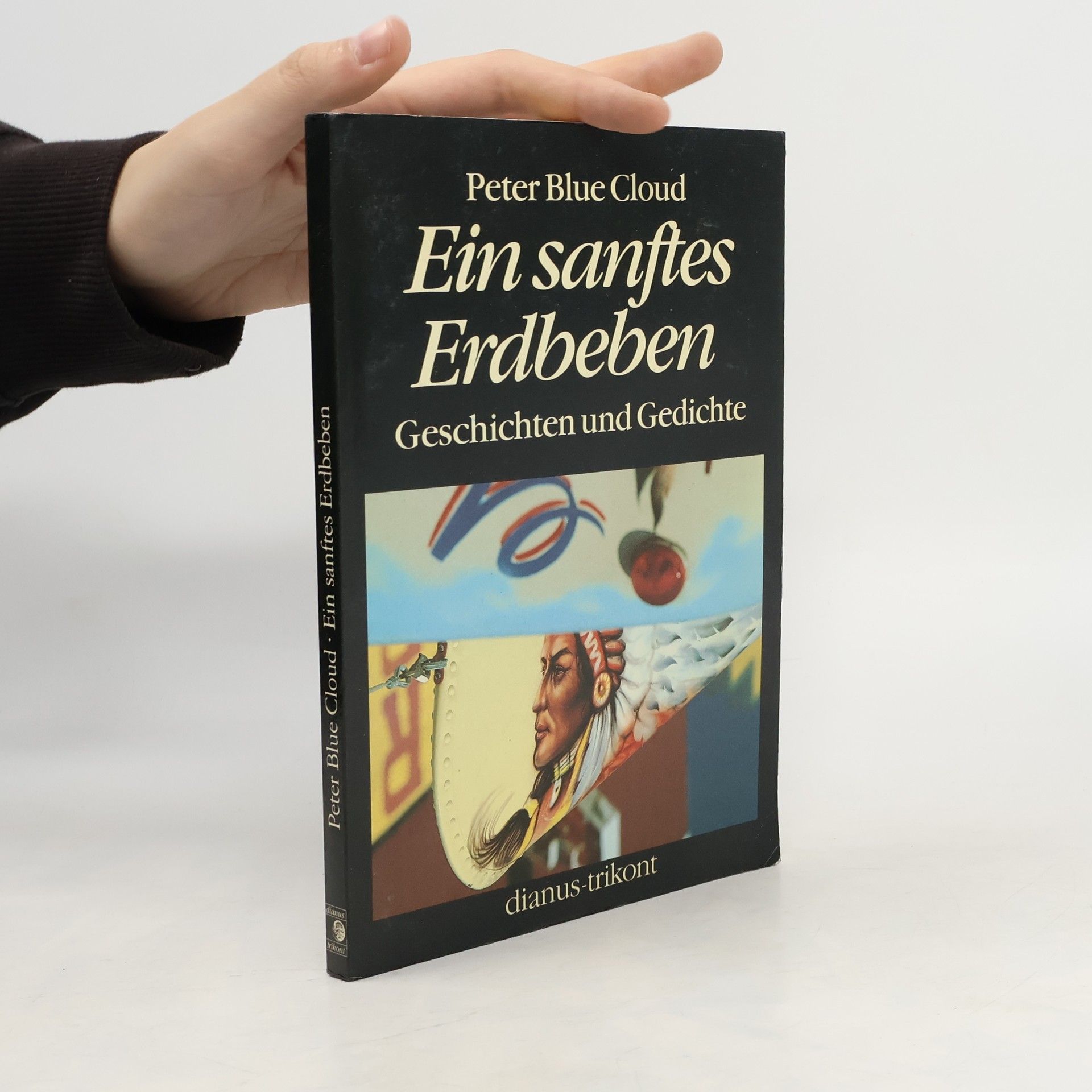 Peter Blue Cloud Ein sanftes Erdbeben. Geschichten und Gedichte