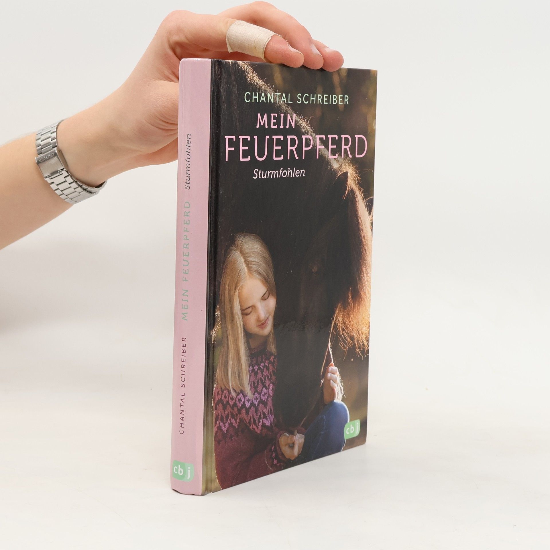 Chantal Schreiber Mein Feuerpferd - Sturmfohlen