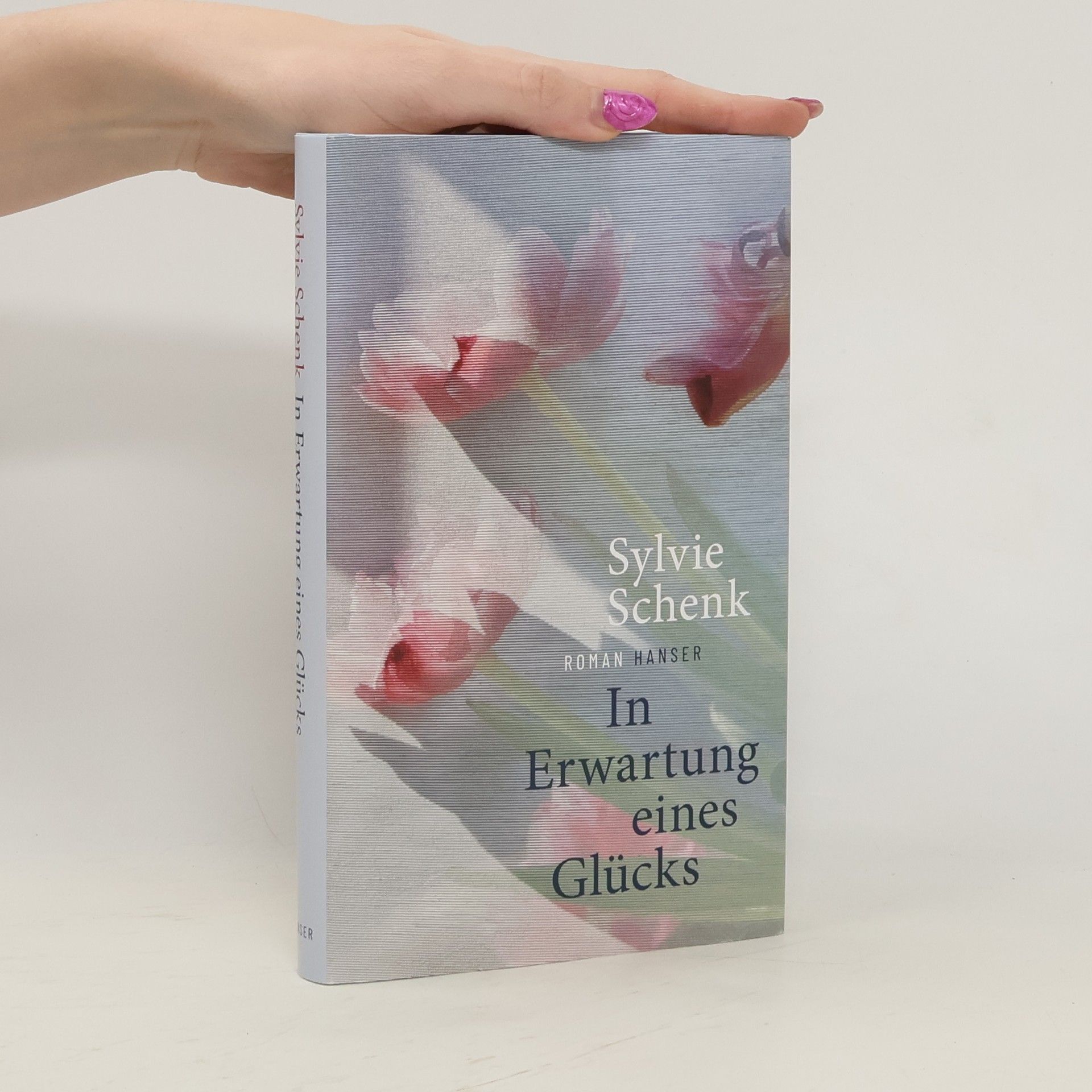 Sylvie Schenk In Erwartung eines Glücks