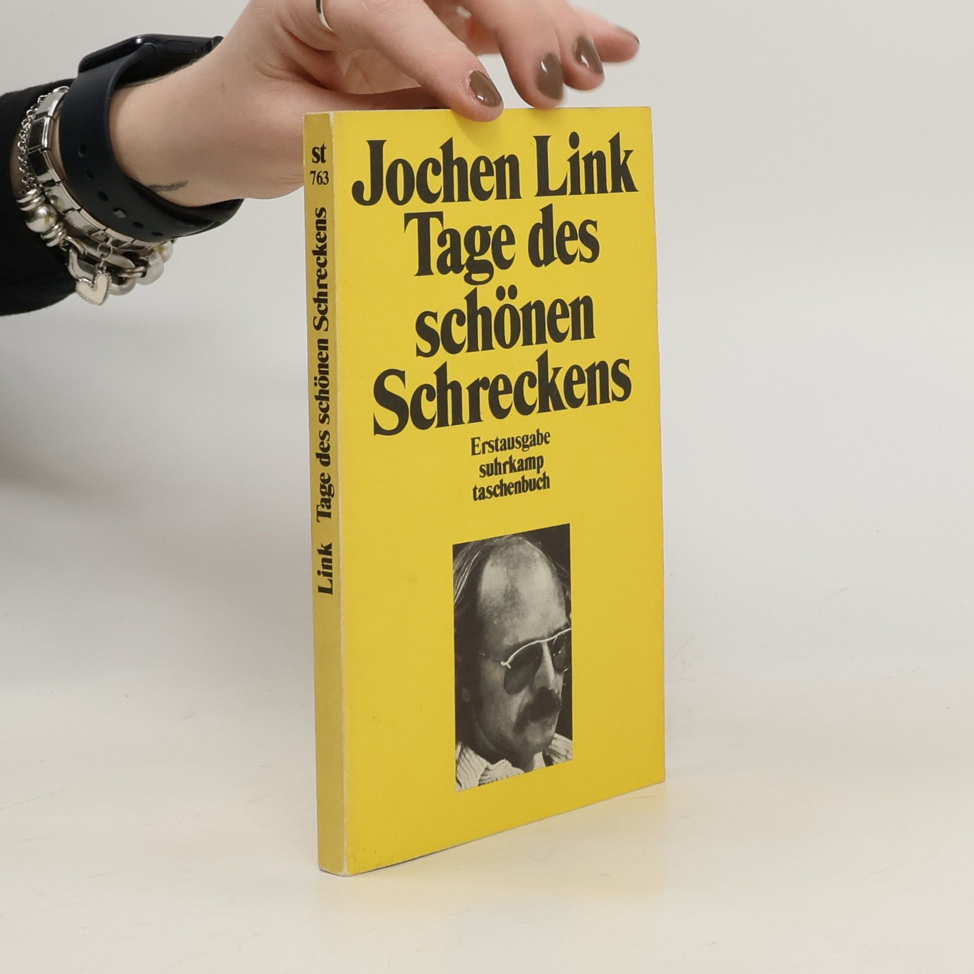Jochen Link Tage des schönen Schreckens