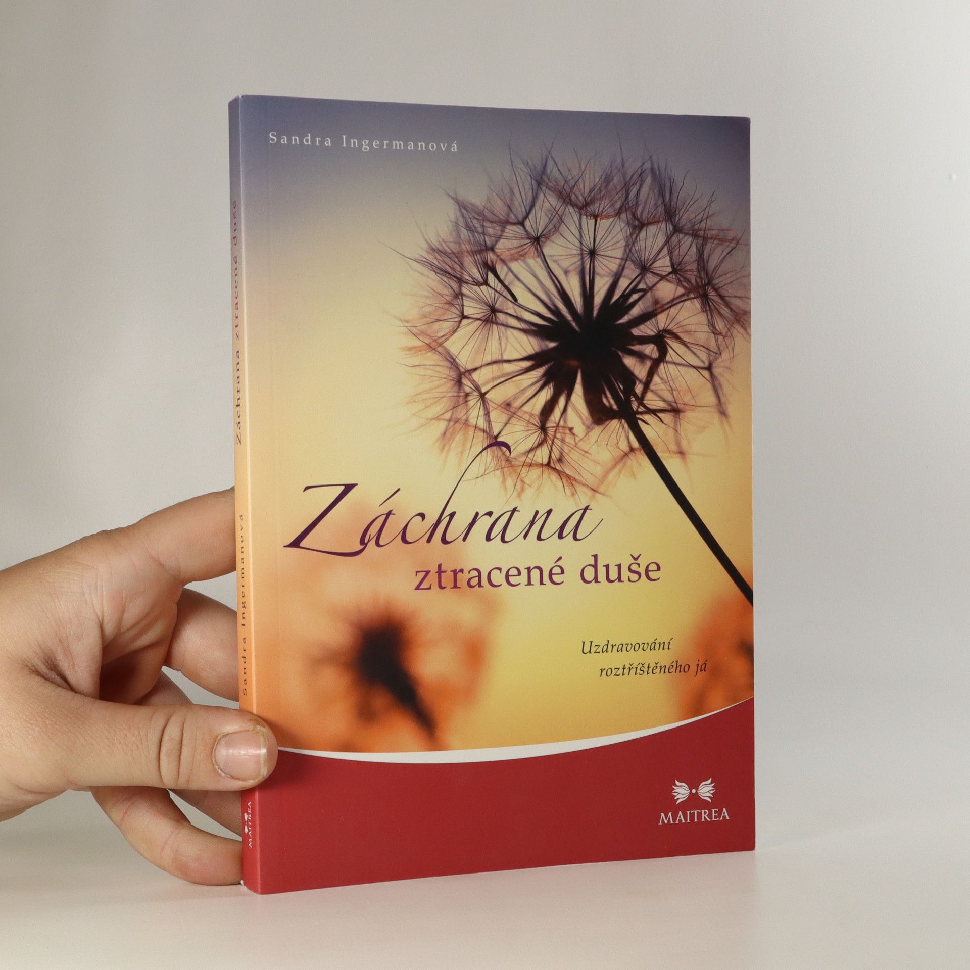 Sandra Ingerman Záchrana ztracené duše. Uzdravování roztříštěného já