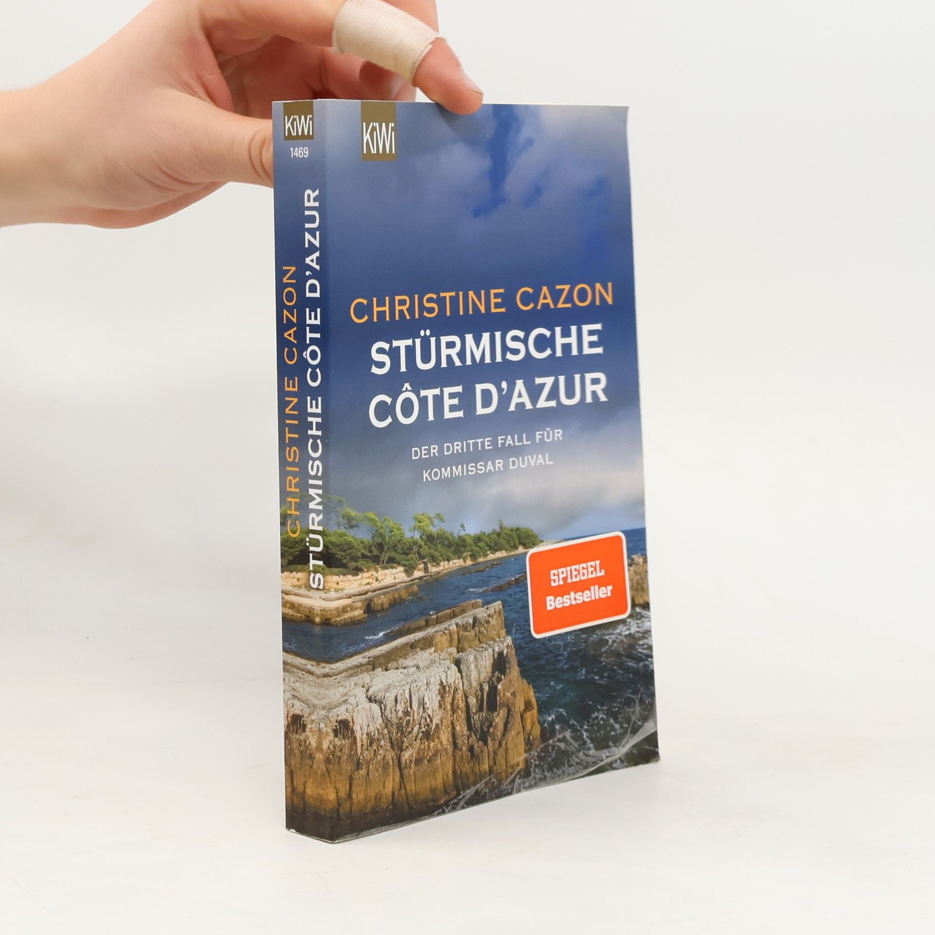 Christine Cazon Stürmische Cote d´Azur