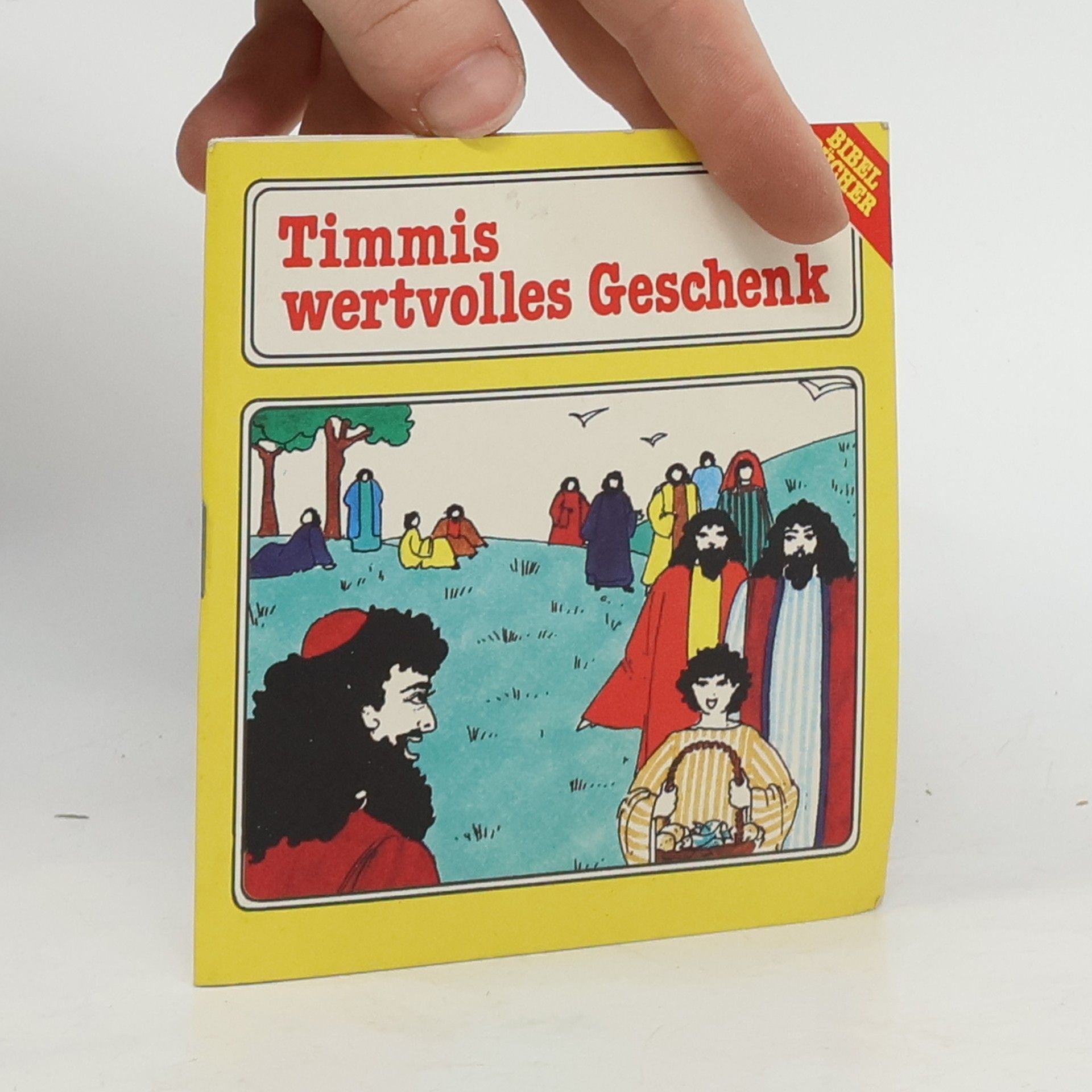 Gertraud Lydia Mayer Ein Mädchen wird entführt