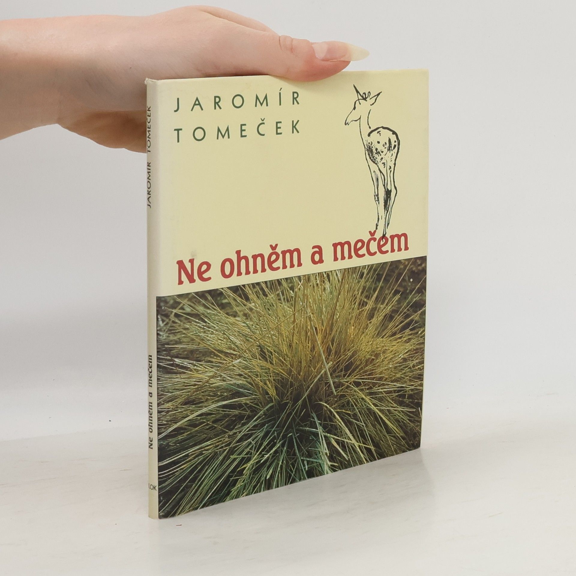 Jaromír Tomeček Ne ohněm a mečem