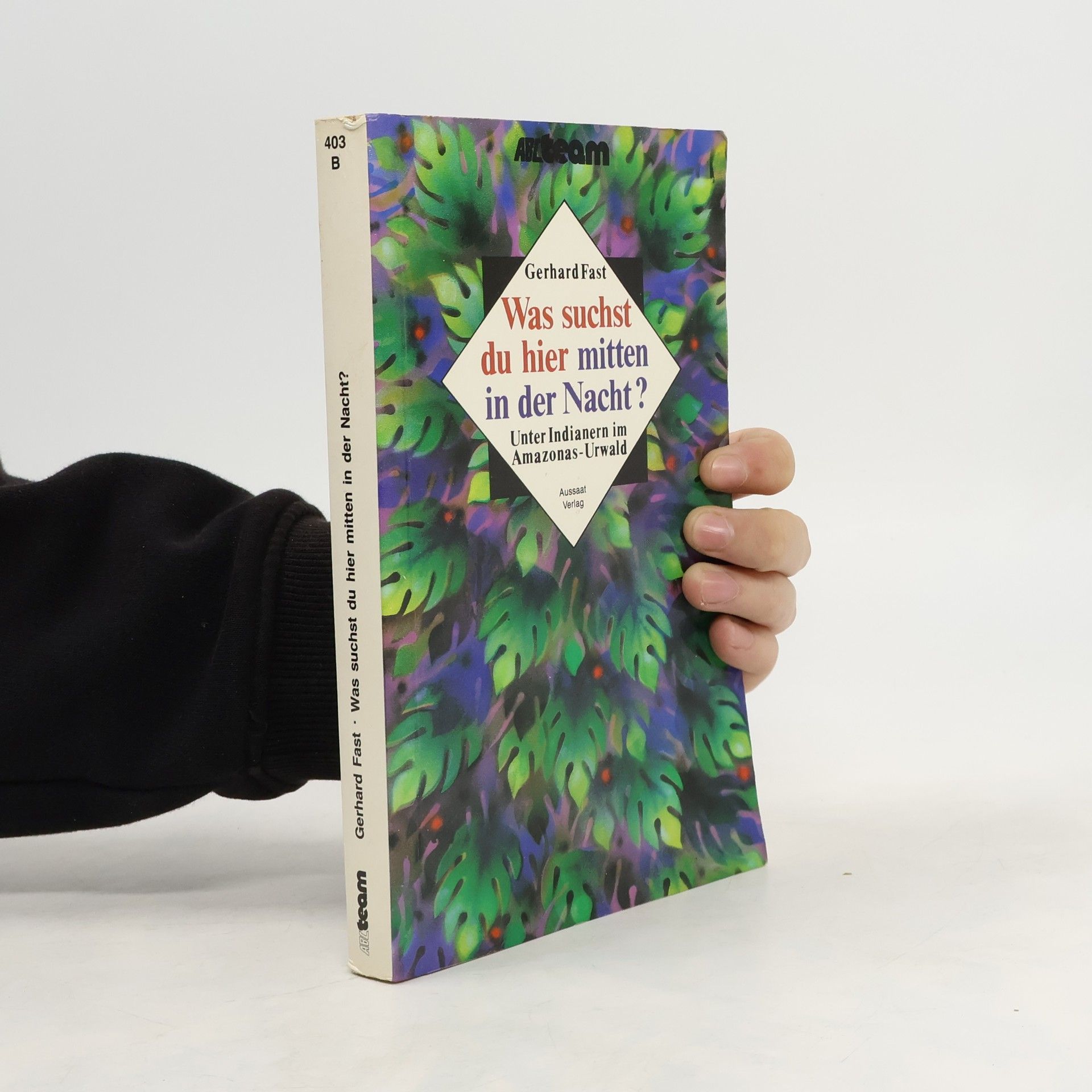 Gerhard Fast Mowitz Was suchst du hier mitten in der Nacht?