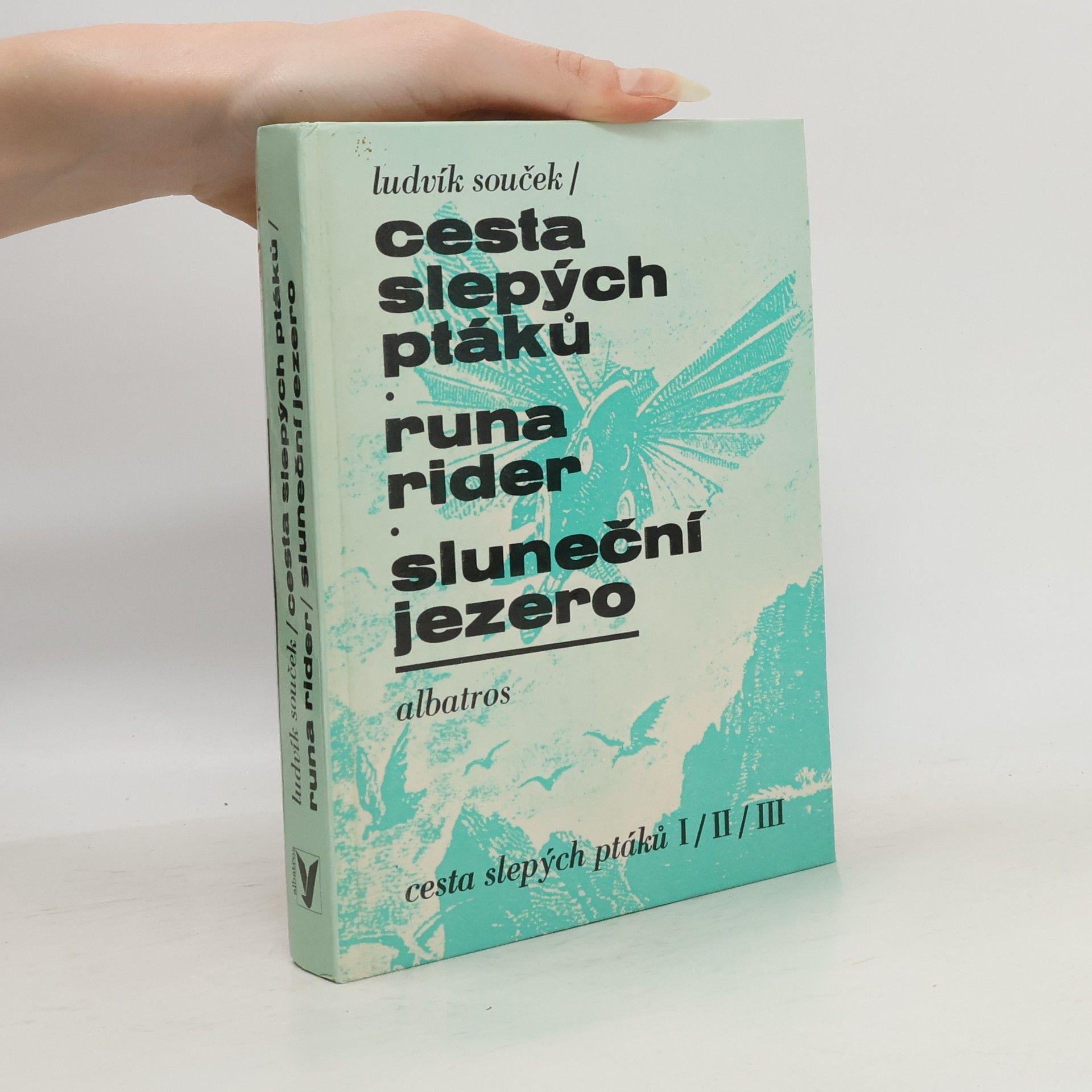 Ludvík Souček Cesta slepých ptáků, Runa rider, Sluneční jezero