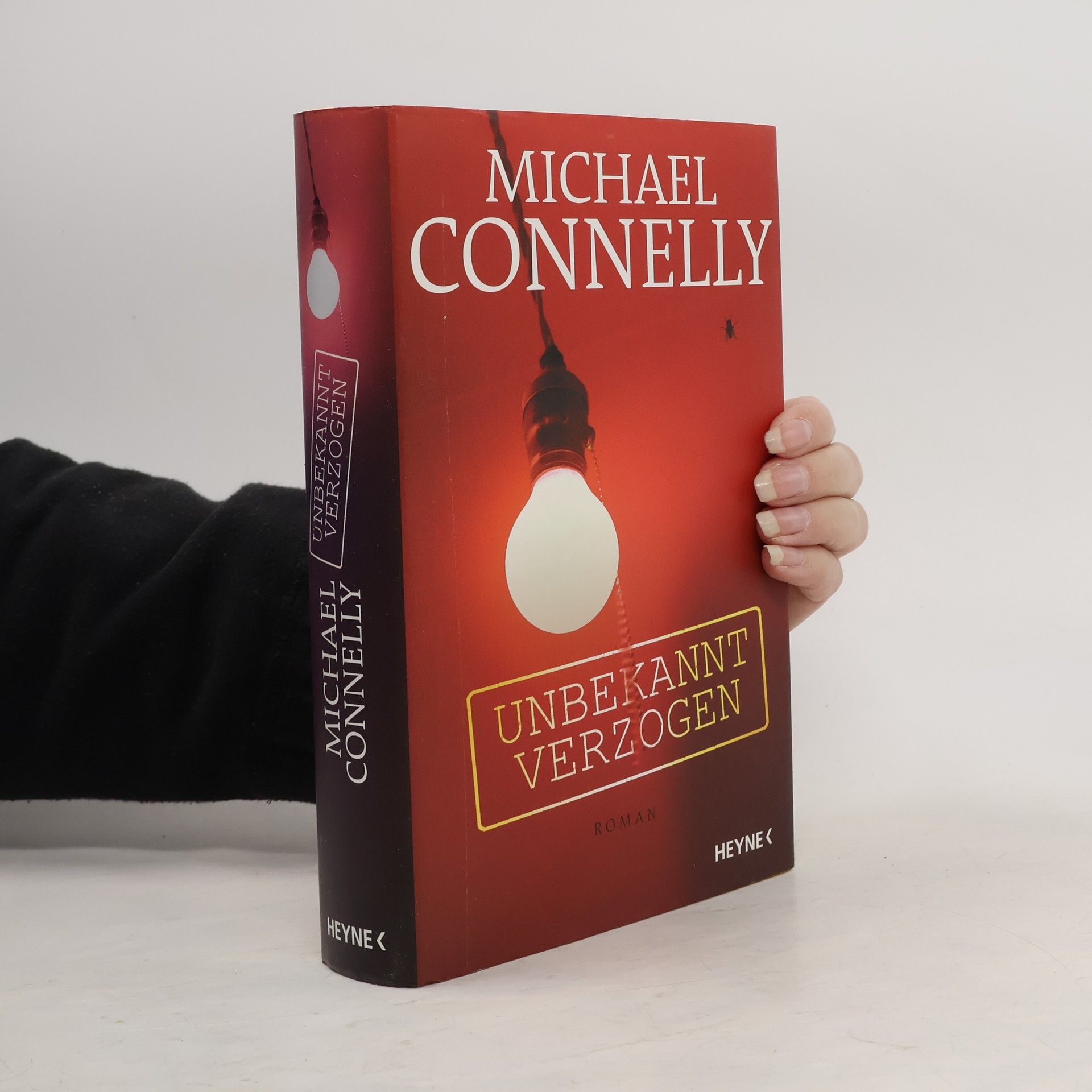 Rudolf Grass Die Alternative