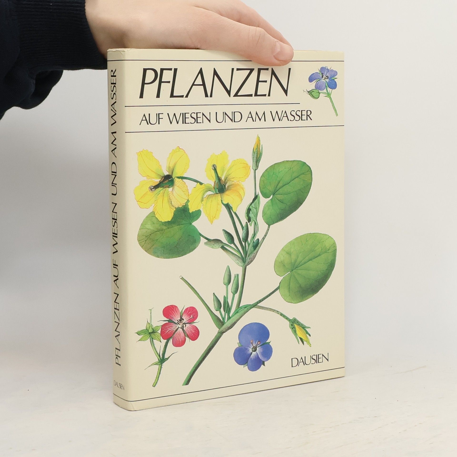 Václav Větvička Pflanzen auf Wiesen und am Wasser