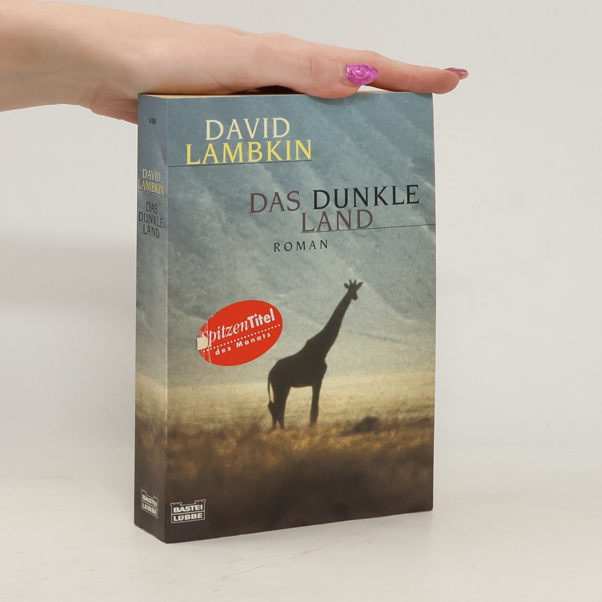David Lambkin Das dunkle Land