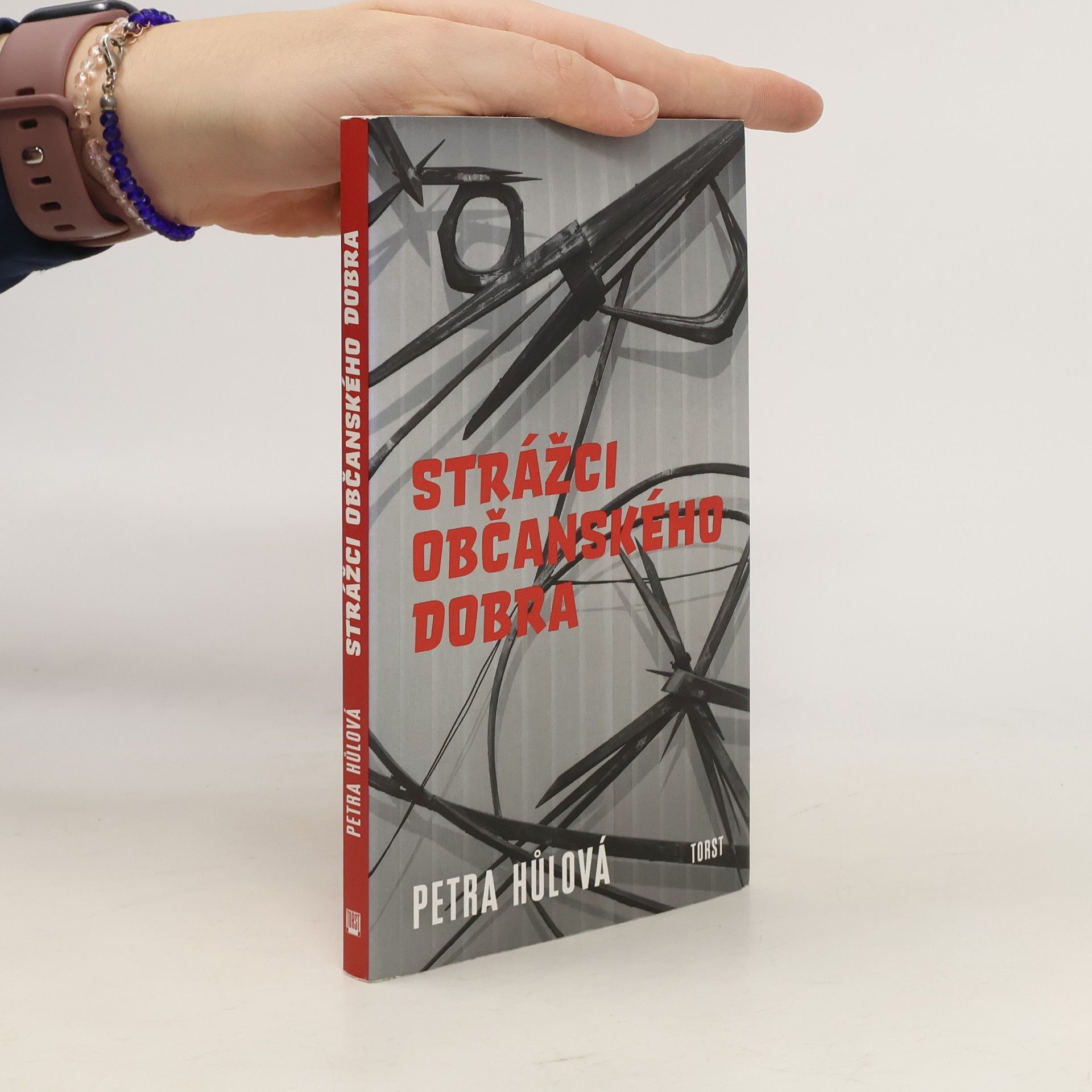 Petra Hůlová Strážci občanského dobra