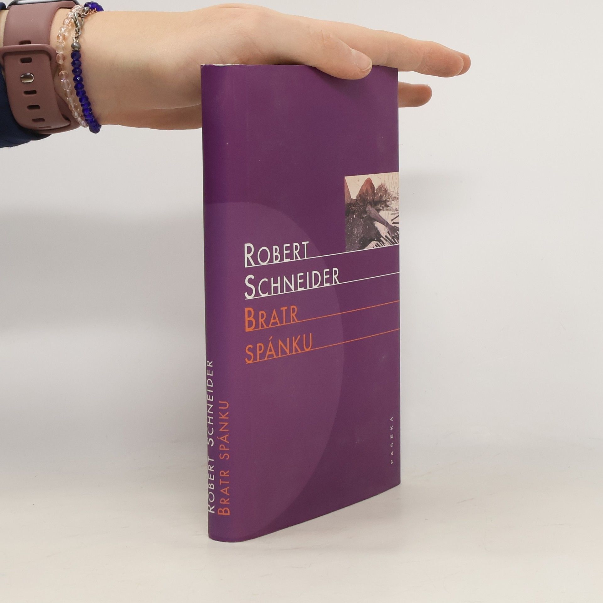 Robert Schneider Bratr spánku