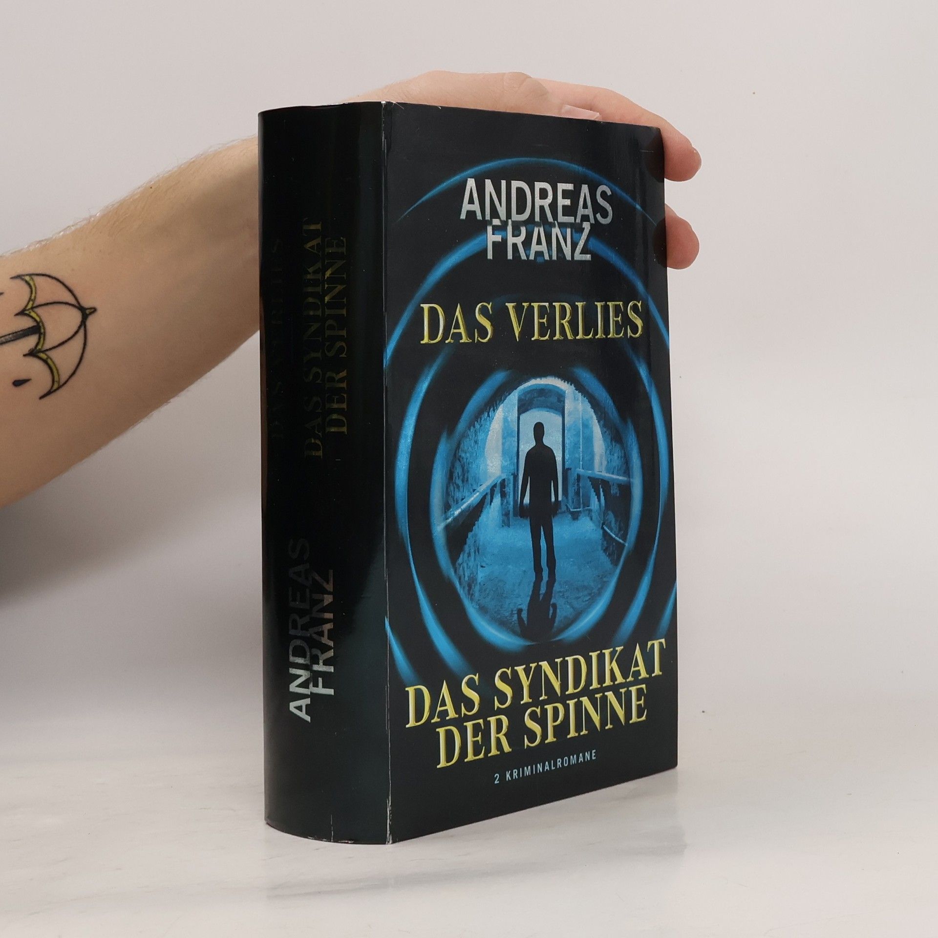 Andreas Franz Das Verlies. Das Syndikat der Spinne