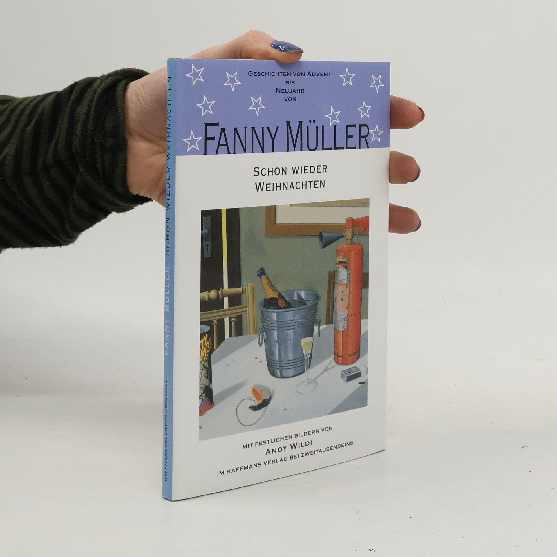 Fanny Müller Schon wieder Weihnachten. Geschichten von Advent bis Neujahr