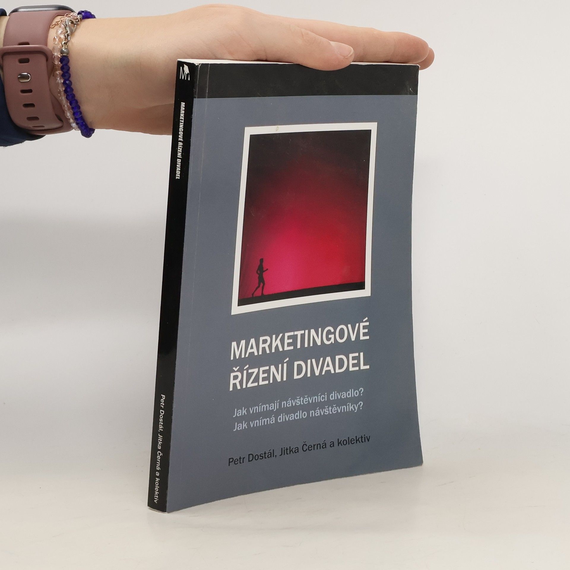 Marketingové řízení divadel : jak vnímají návštěvníci divadlo? Jak vnímá divadlo návštěvníky?