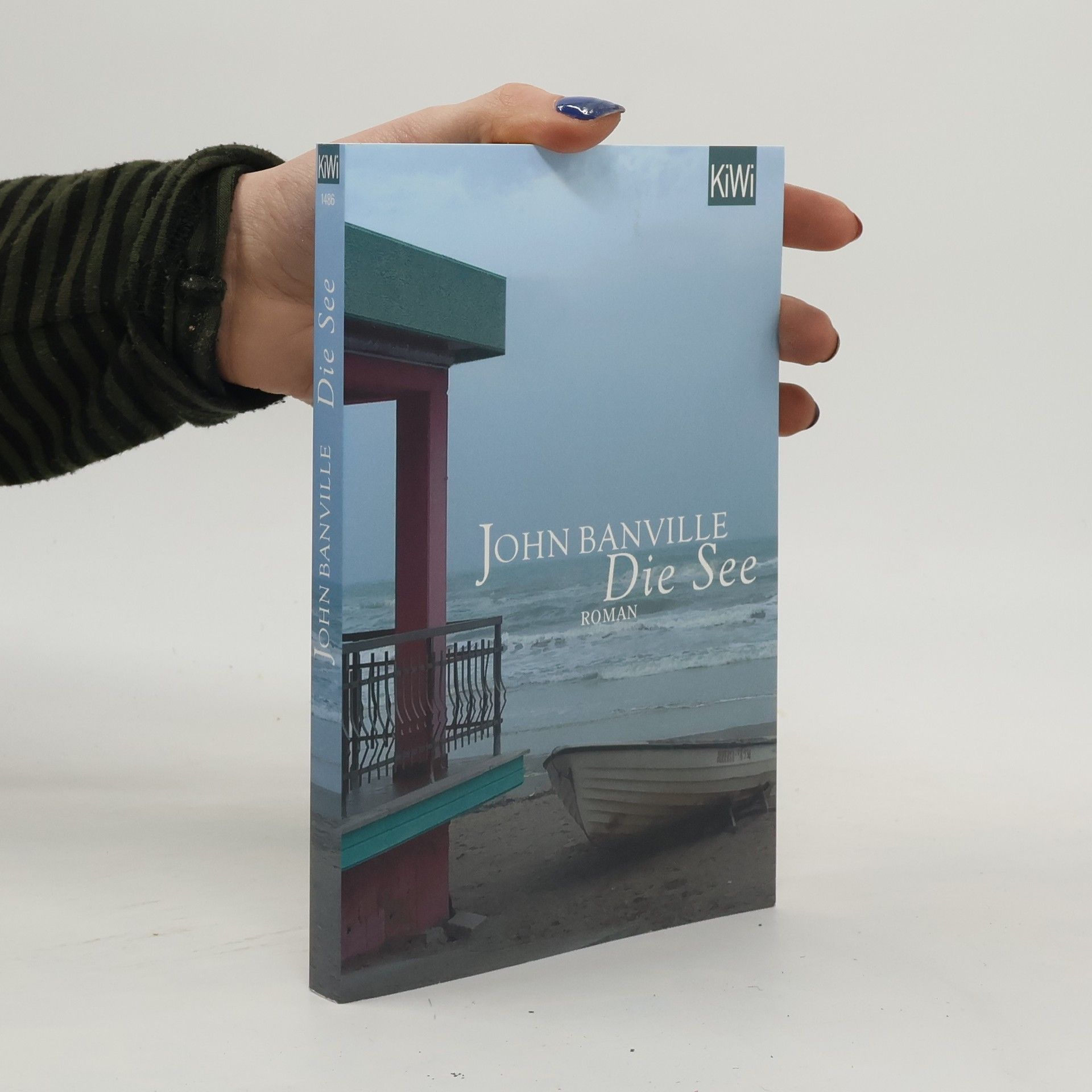 John Banville Die See