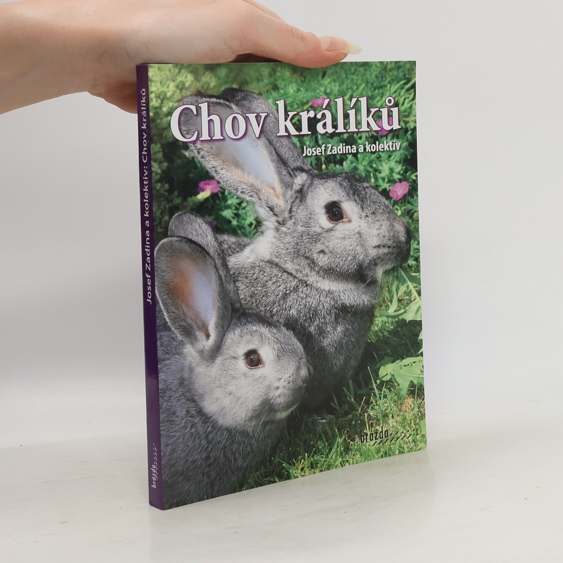 Josef Zadina Chov králíků