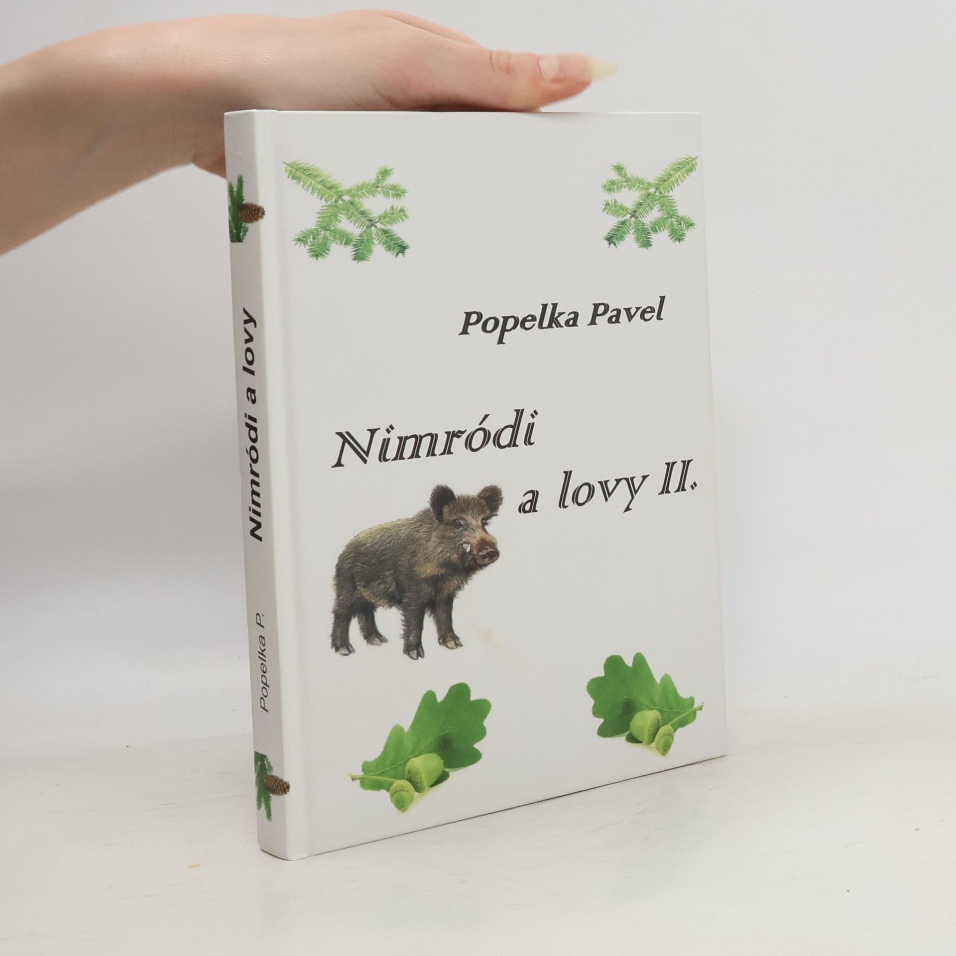 Pavel Popelka Nimródi a lovy II.