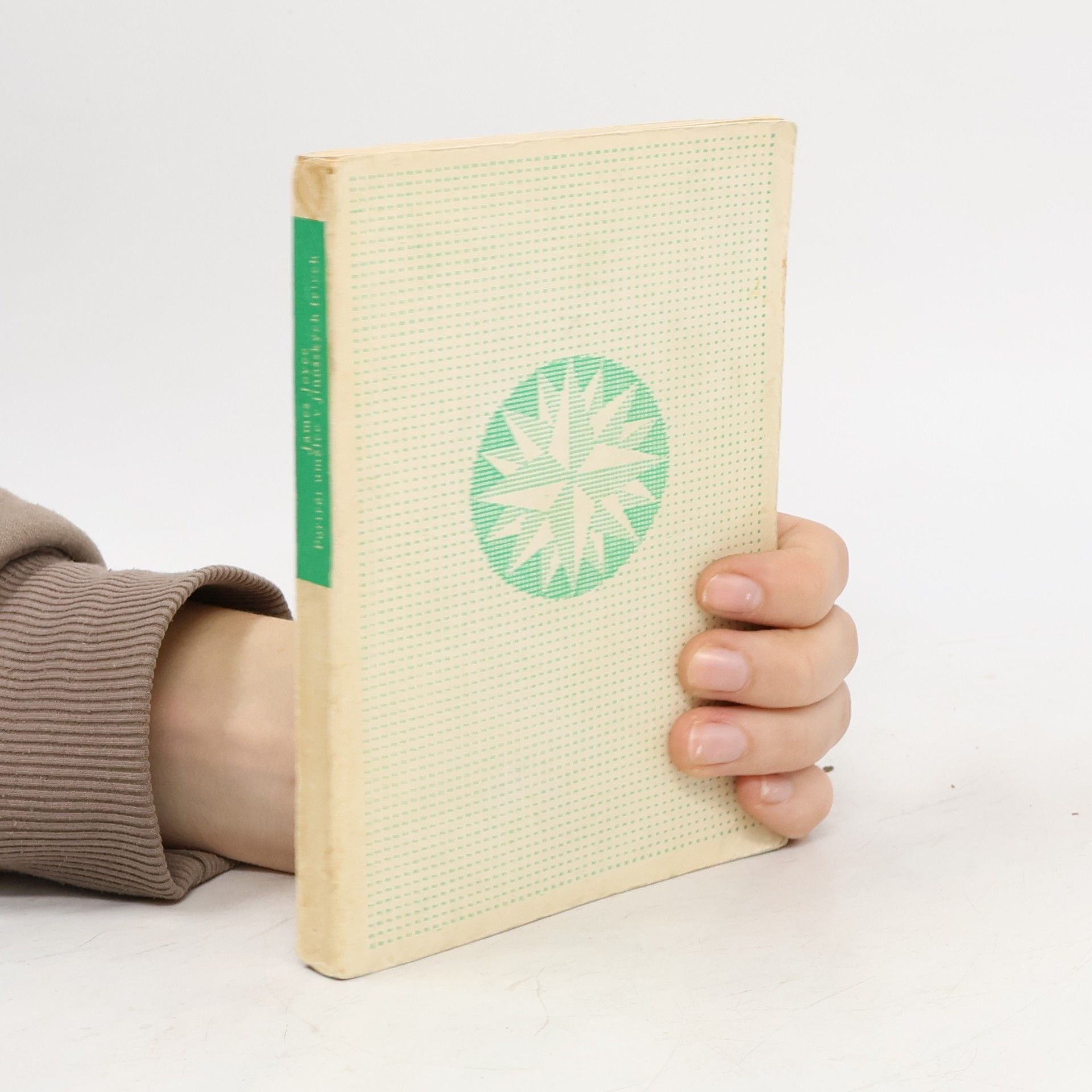 Portrét umělce v jinošských letech