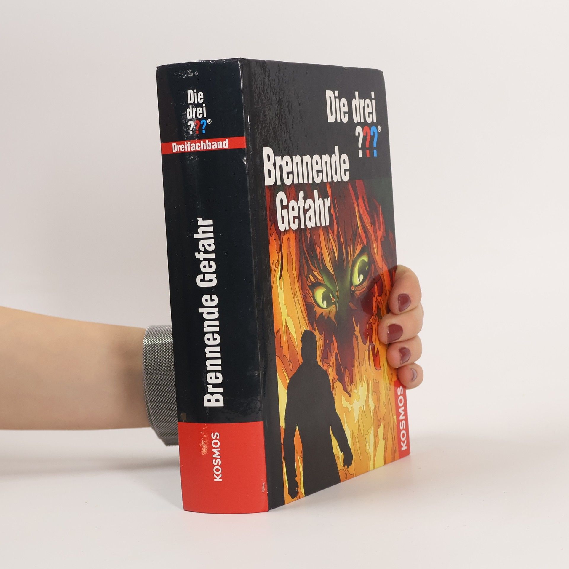 Collectif d'auteurs Die drei ??? Brennende Gefahr