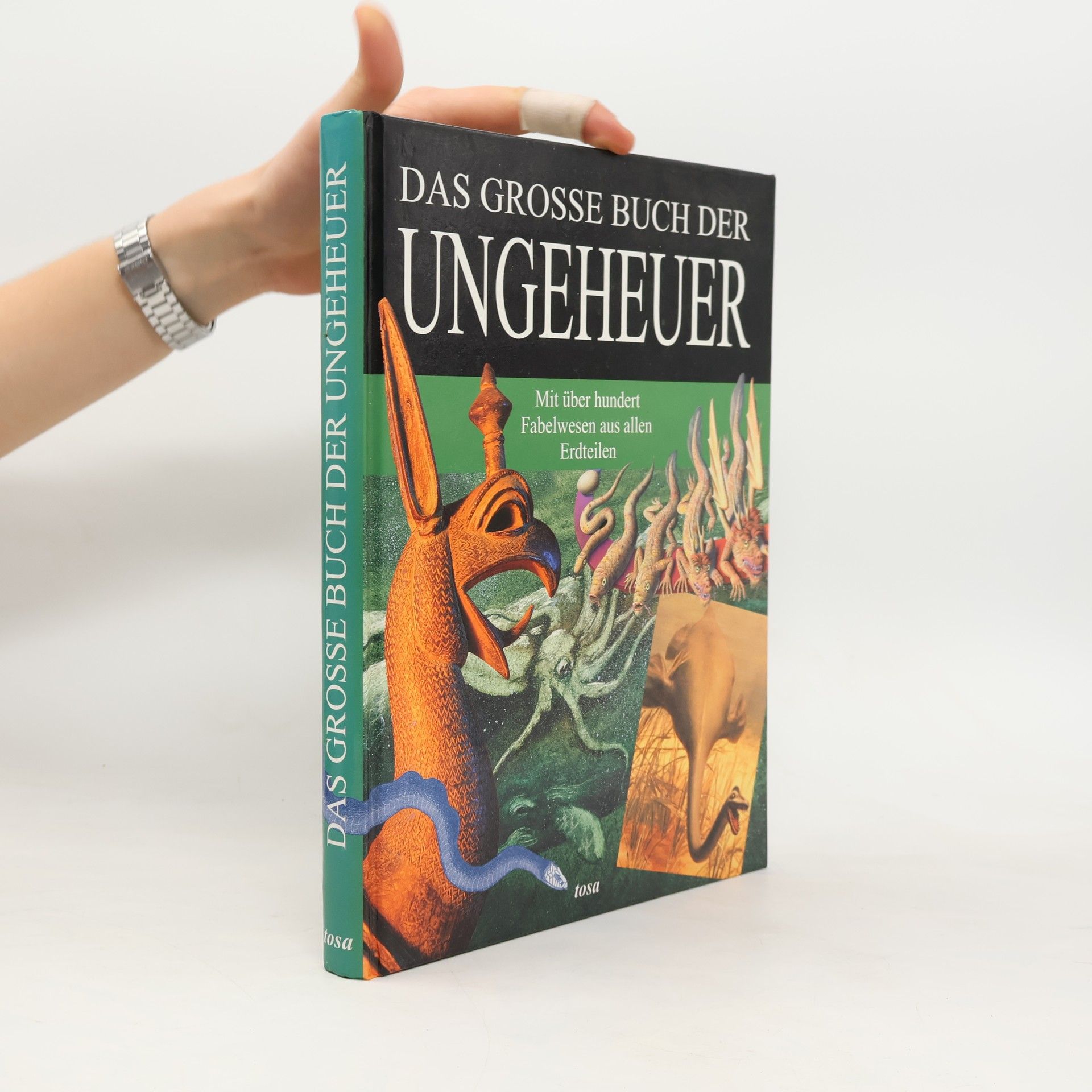 Autores varios Das große Buch der Ungeheuer