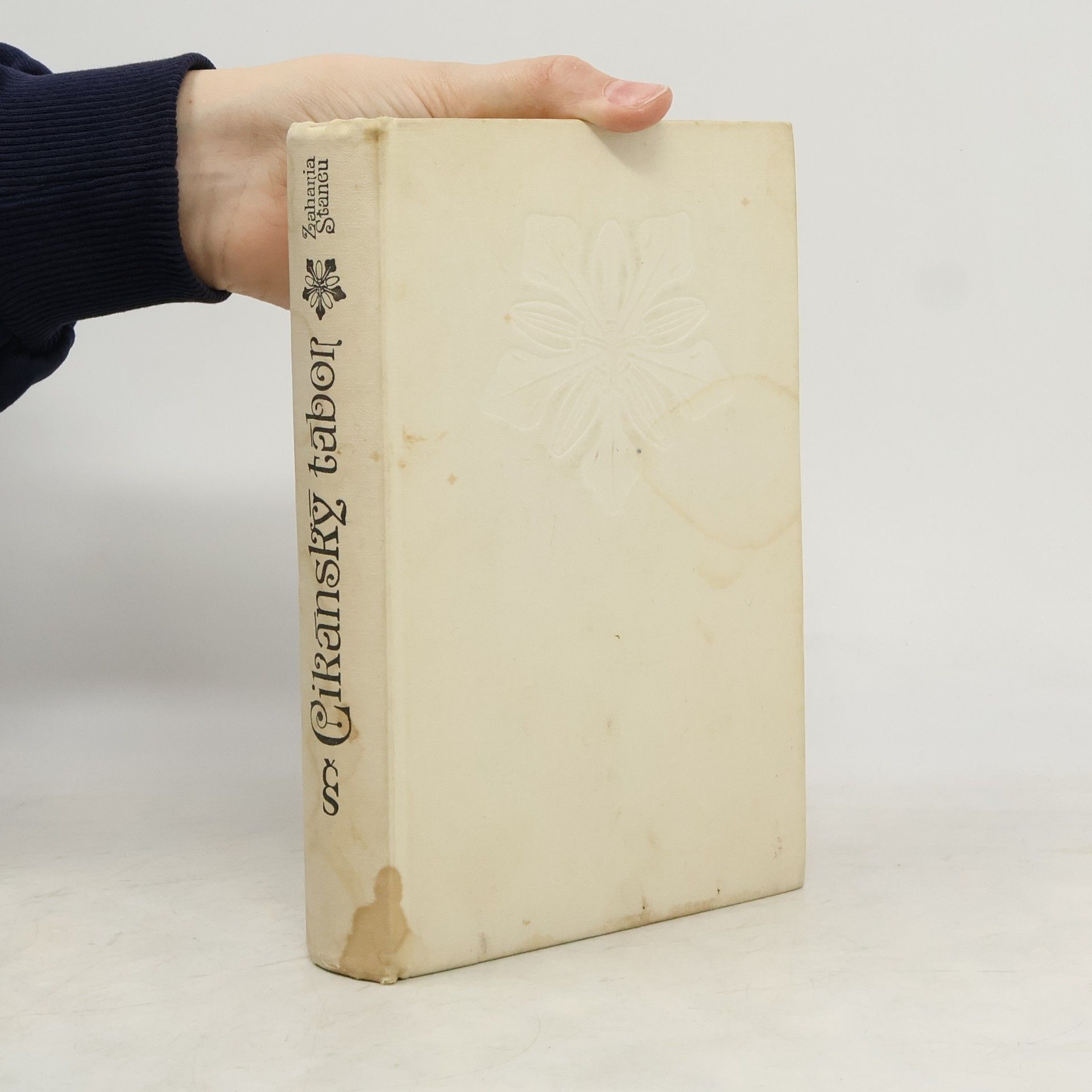 Zaharia Stancu Cikánský tábor