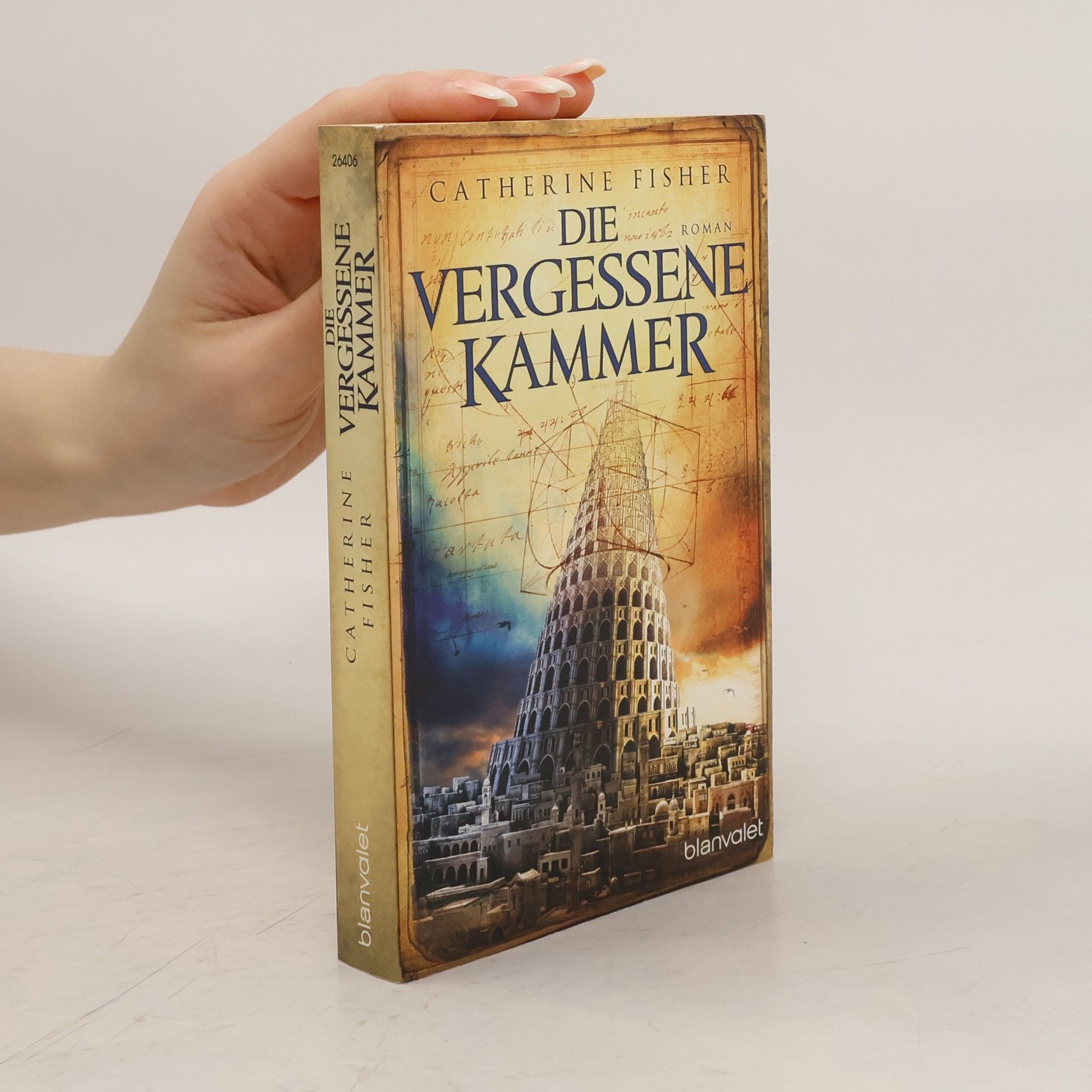 Catherine Fisher Die vergessene Kammer