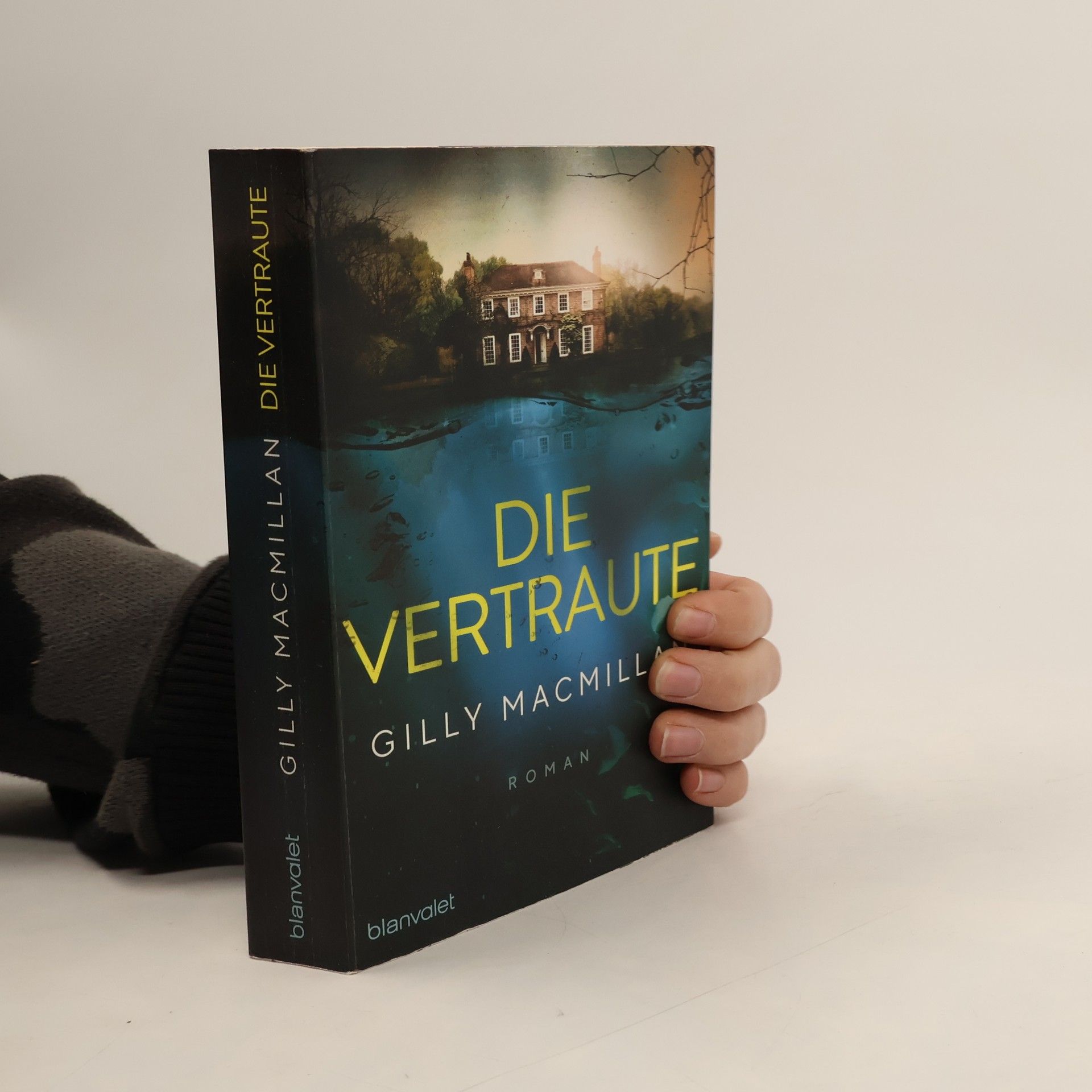 Gilly Macmillan Die Vertraute