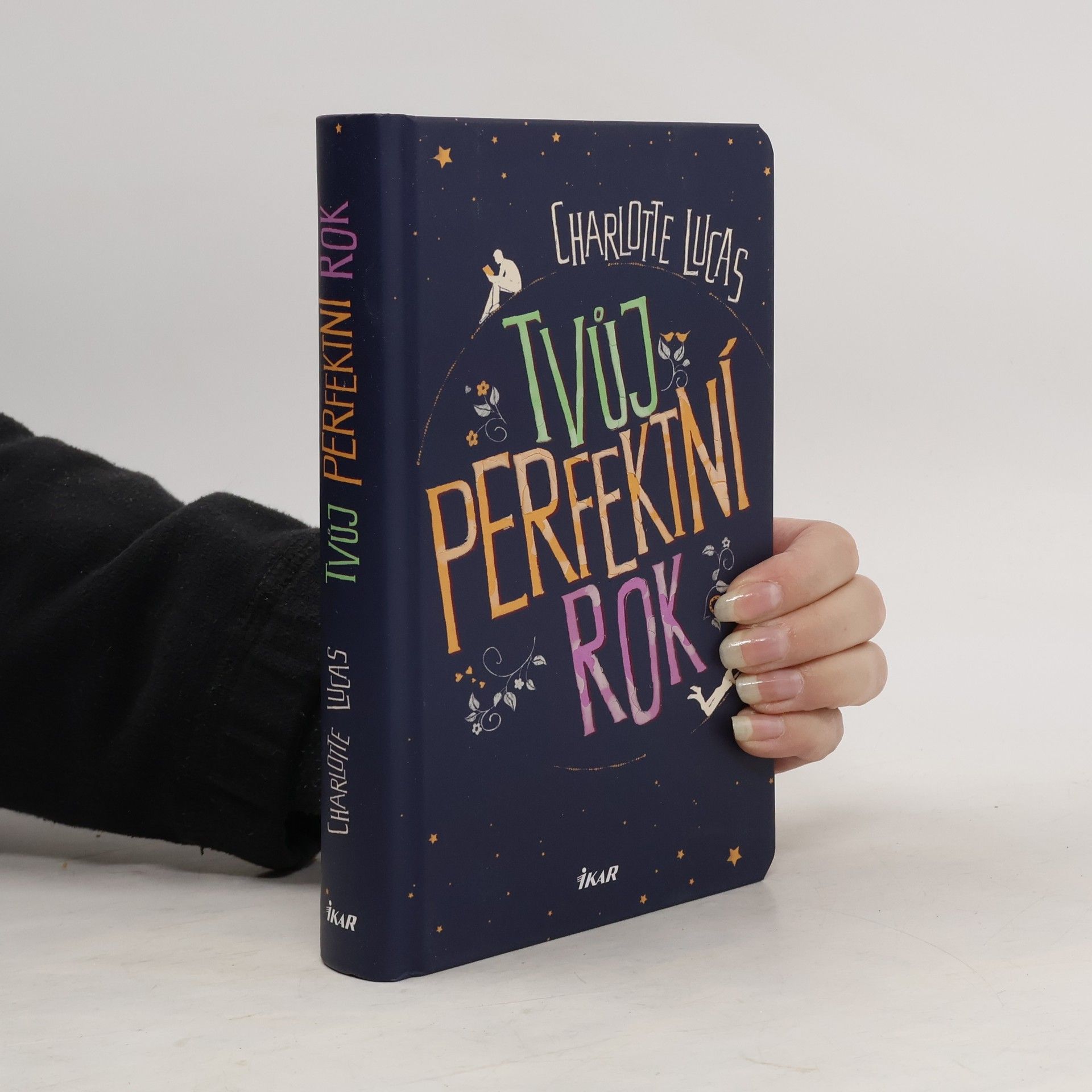 Charlotte Lucas Tvůj perfektní rok