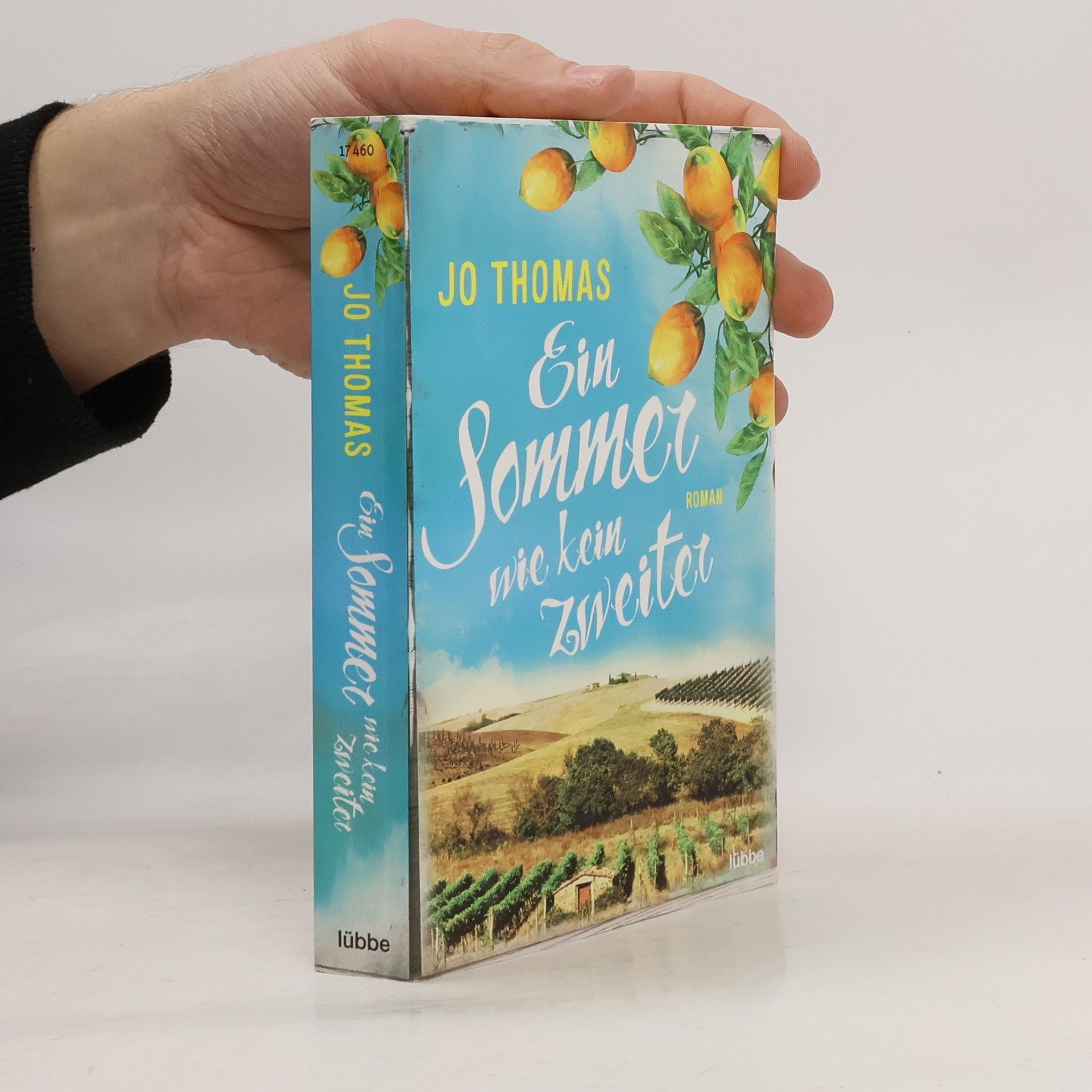 Jo Thomas Ein Sommer wie kein zweiter